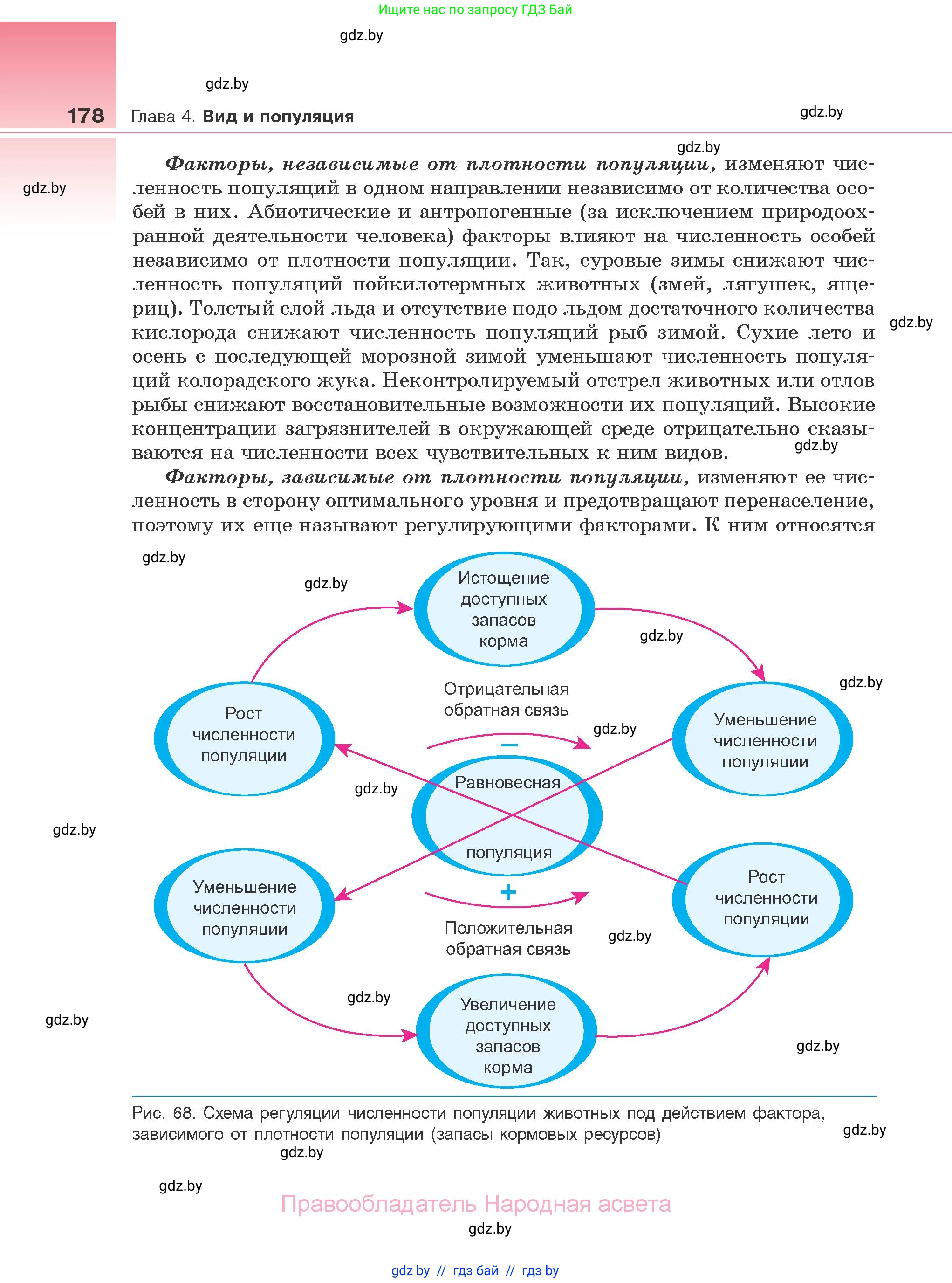 Биология, 10 класс Учебник, авторы: Маглыш Сабина Степановна, Кравченко Вячеслав Анатольевич, Довгун Татьяна Яновна, издательство Народная асвета, Минск, 2020, зелёного цвета, страница 178