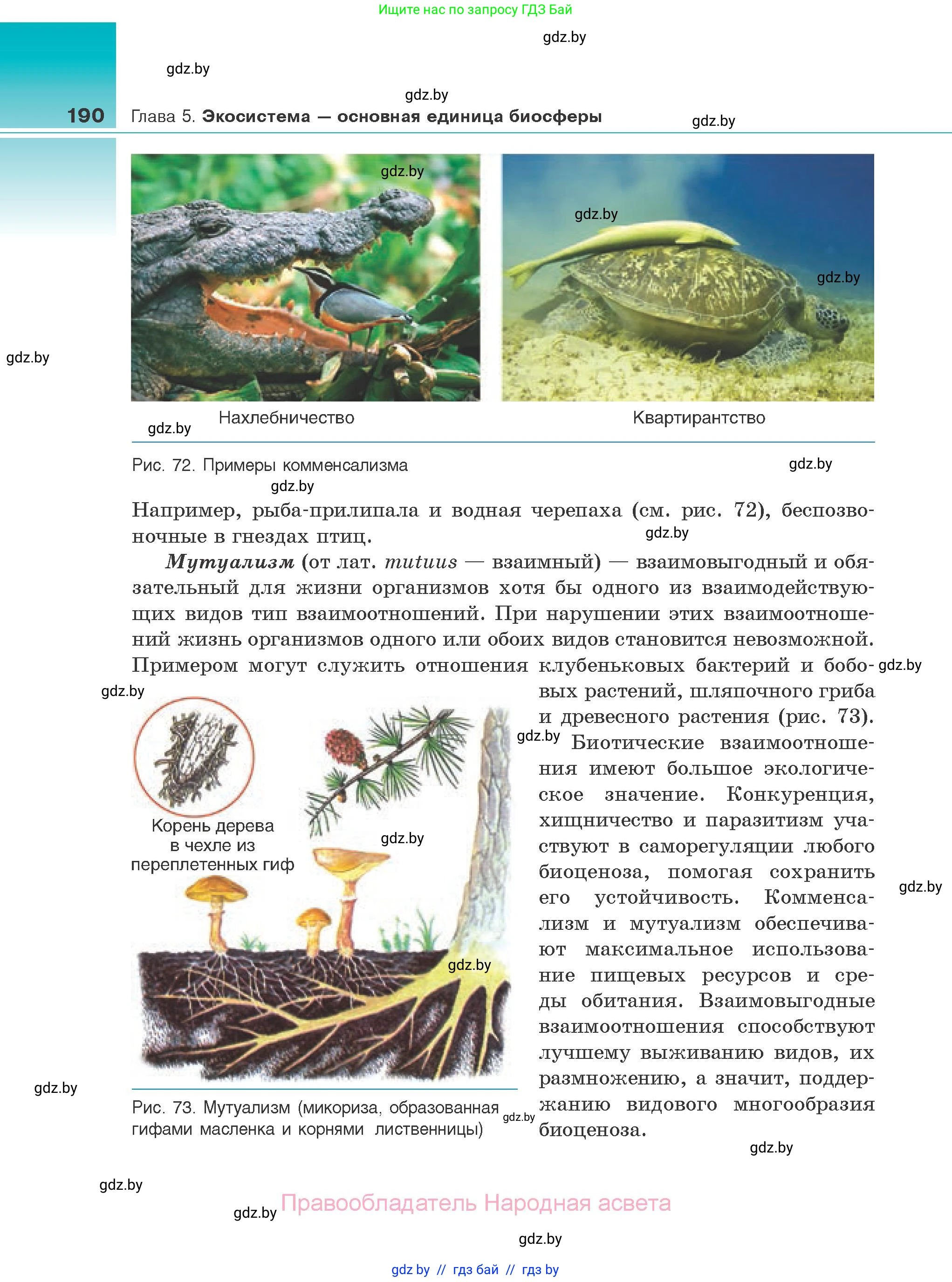 Биология, 10 класс Учебник, авторы: Маглыш Сабина Степановна, Кравченко Вячеслав Анатольевич, Довгун Татьяна Яновна, издательство Народная асвета, Минск, 2020, зелёного цвета, страница 190