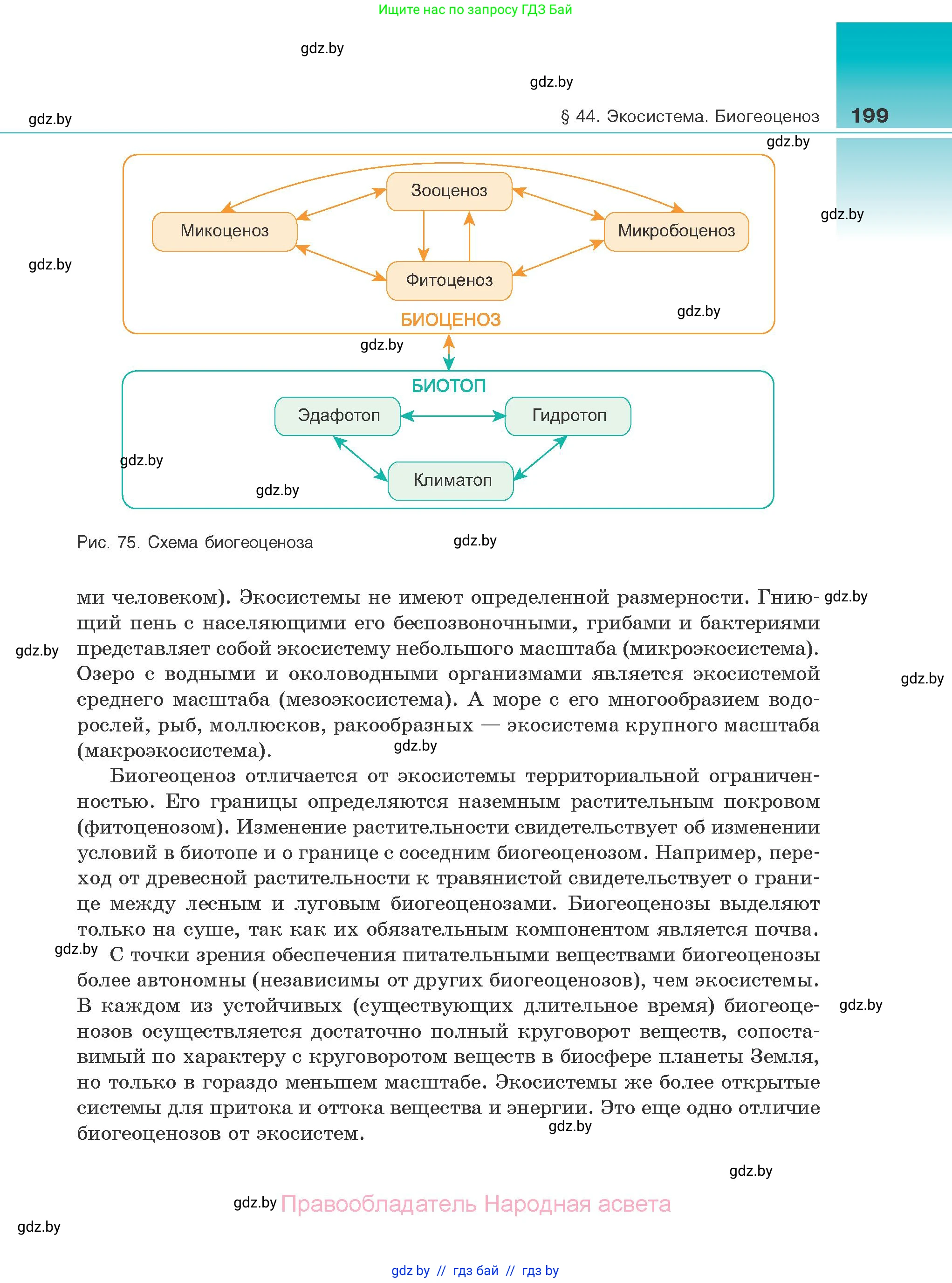 Биология, 10 класс Учебник, авторы: Маглыш Сабина Степановна, Кравченко Вячеслав Анатольевич, Довгун Татьяна Яновна, издательство Народная асвета, Минск, 2020, зелёного цвета, страница 199