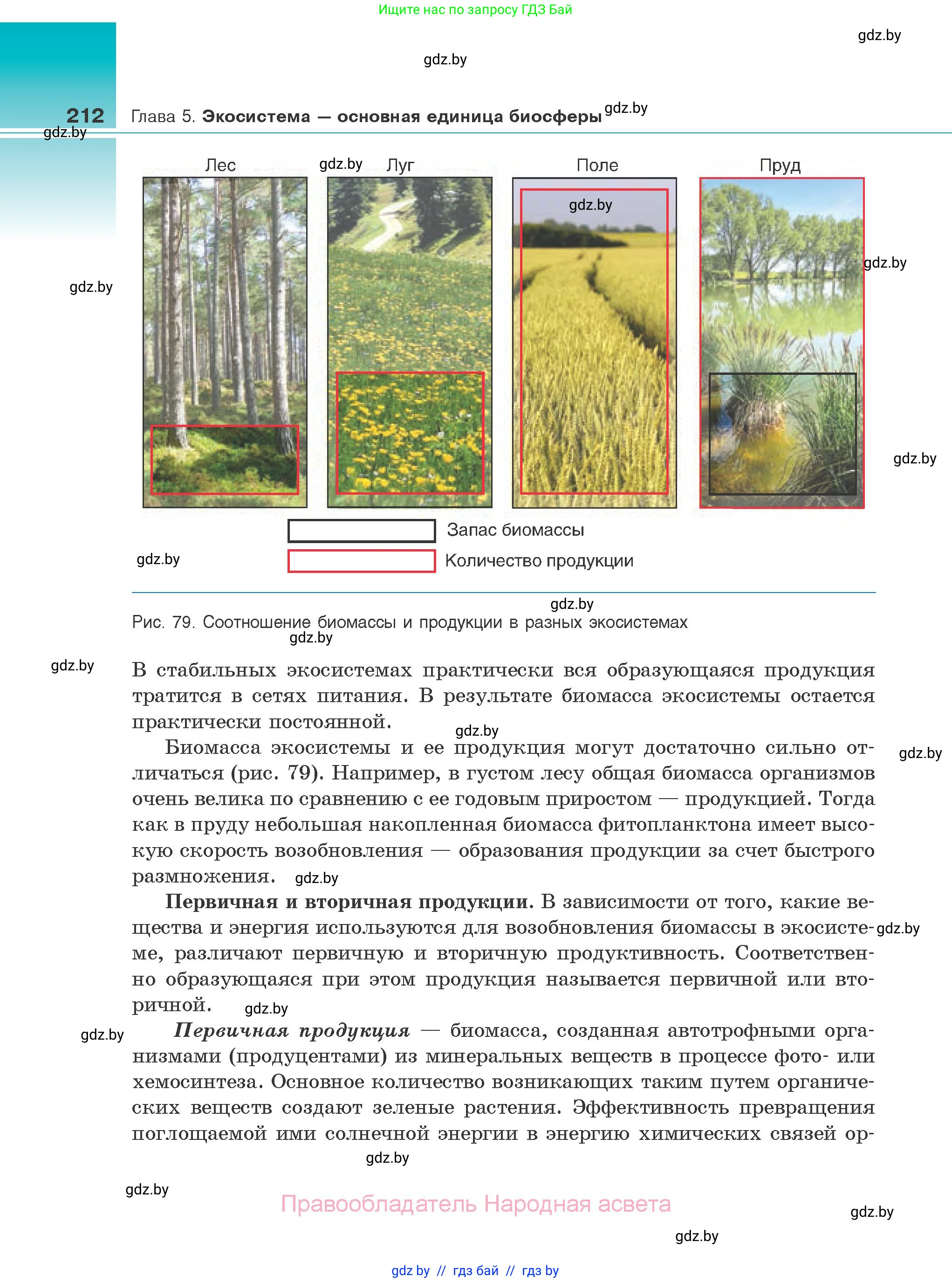 Биология, 10 класс Учебник, авторы: Маглыш Сабина Степановна, Кравченко Вячеслав Анатольевич, Довгун Татьяна Яновна, издательство Народная асвета, Минск, 2020, зелёного цвета, страница 212