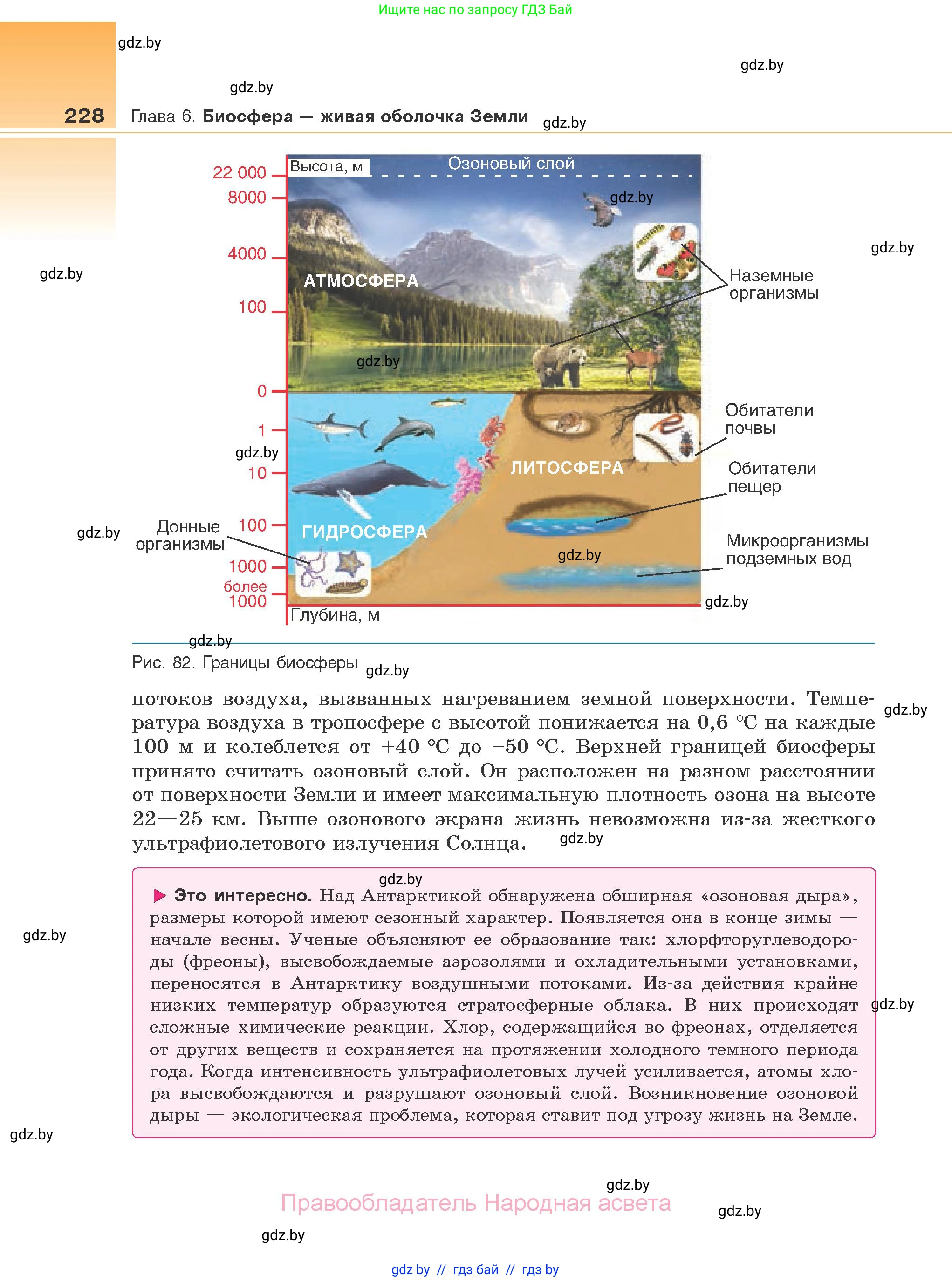 Биология, 10 класс Учебник, авторы: Маглыш Сабина Степановна, Кравченко Вячеслав Анатольевич, Довгун Татьяна Яновна, издательство Народная асвета, Минск, 2020, зелёного цвета, страница 228