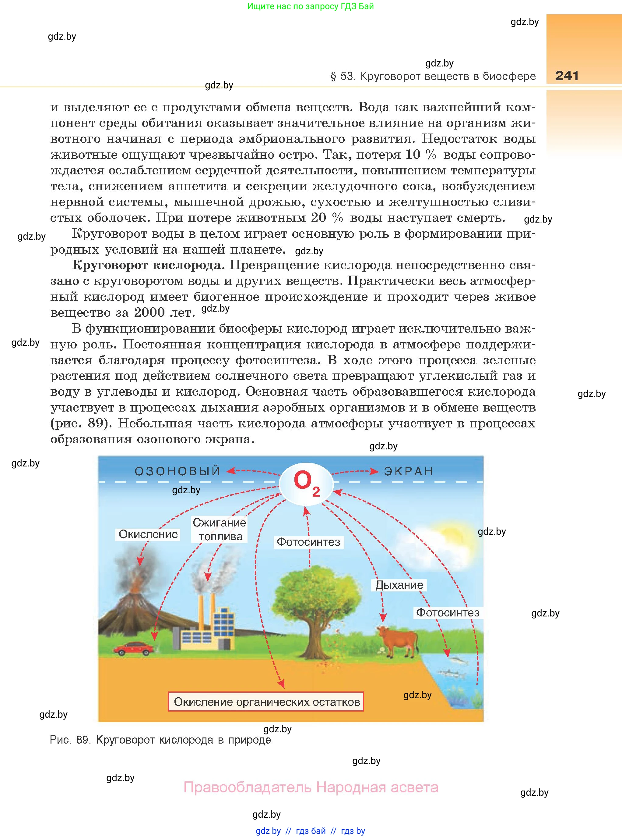 Биология, 10 класс Учебник, авторы: Маглыш Сабина Степановна, Кравченко Вячеслав Анатольевич, Довгун Татьяна Яновна, издательство Народная асвета, Минск, 2020, зелёного цвета, страница 241
