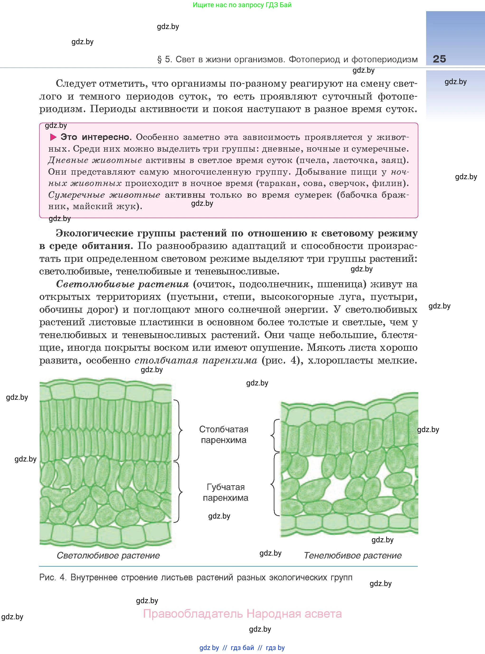 Биология, 10 класс Учебник, авторы: Маглыш Сабина Степановна, Кравченко Вячеслав Анатольевич, Довгун Татьяна Яновна, издательство Народная асвета, Минск, 2020, зелёного цвета, страница 25