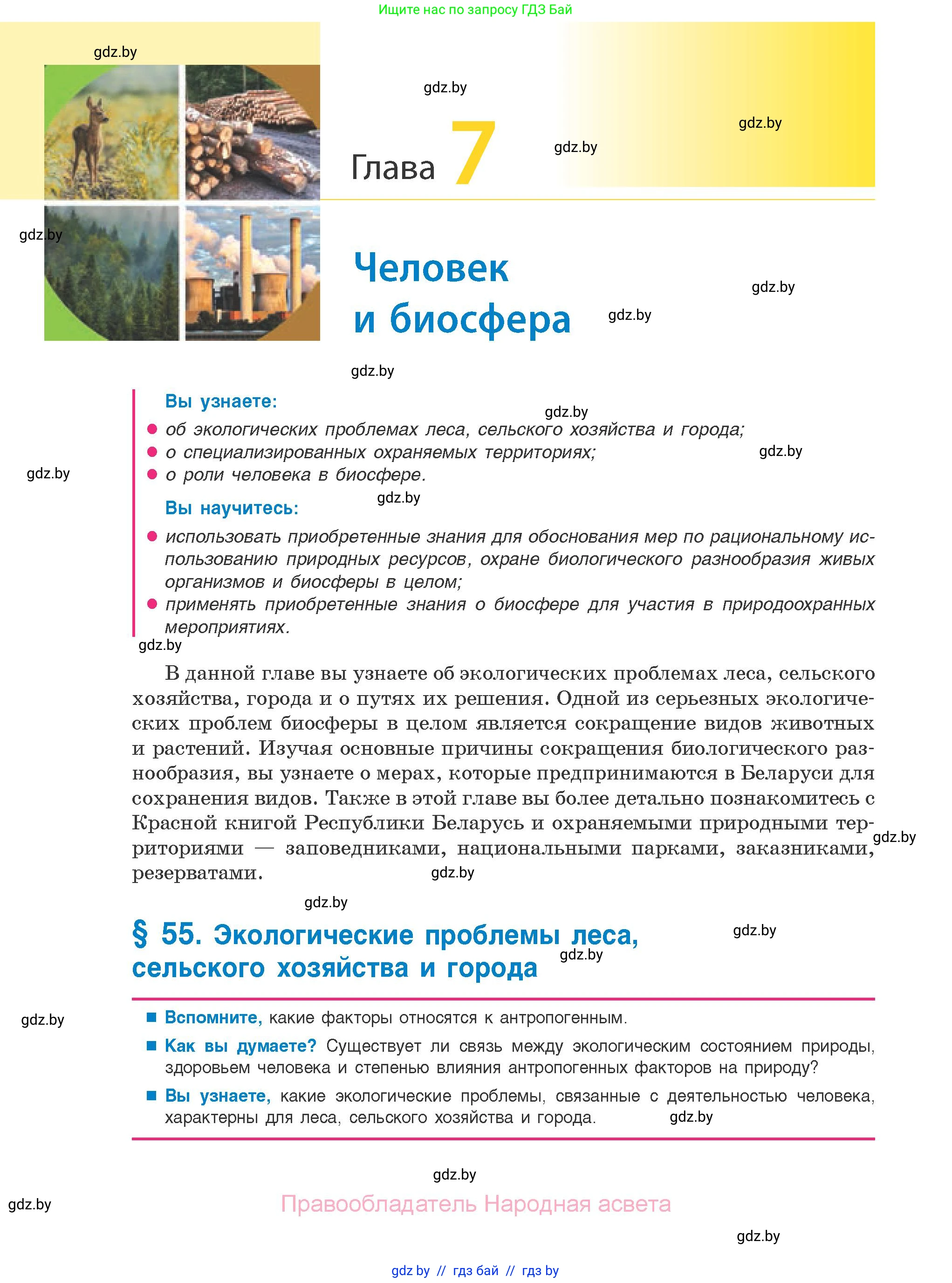 Биология, 10 класс Учебник, авторы: Маглыш Сабина Степановна, Кравченко Вячеслав Анатольевич, Довгун Татьяна Яновна, издательство Народная асвета, Минск, 2020, зелёного цвета, страница 250