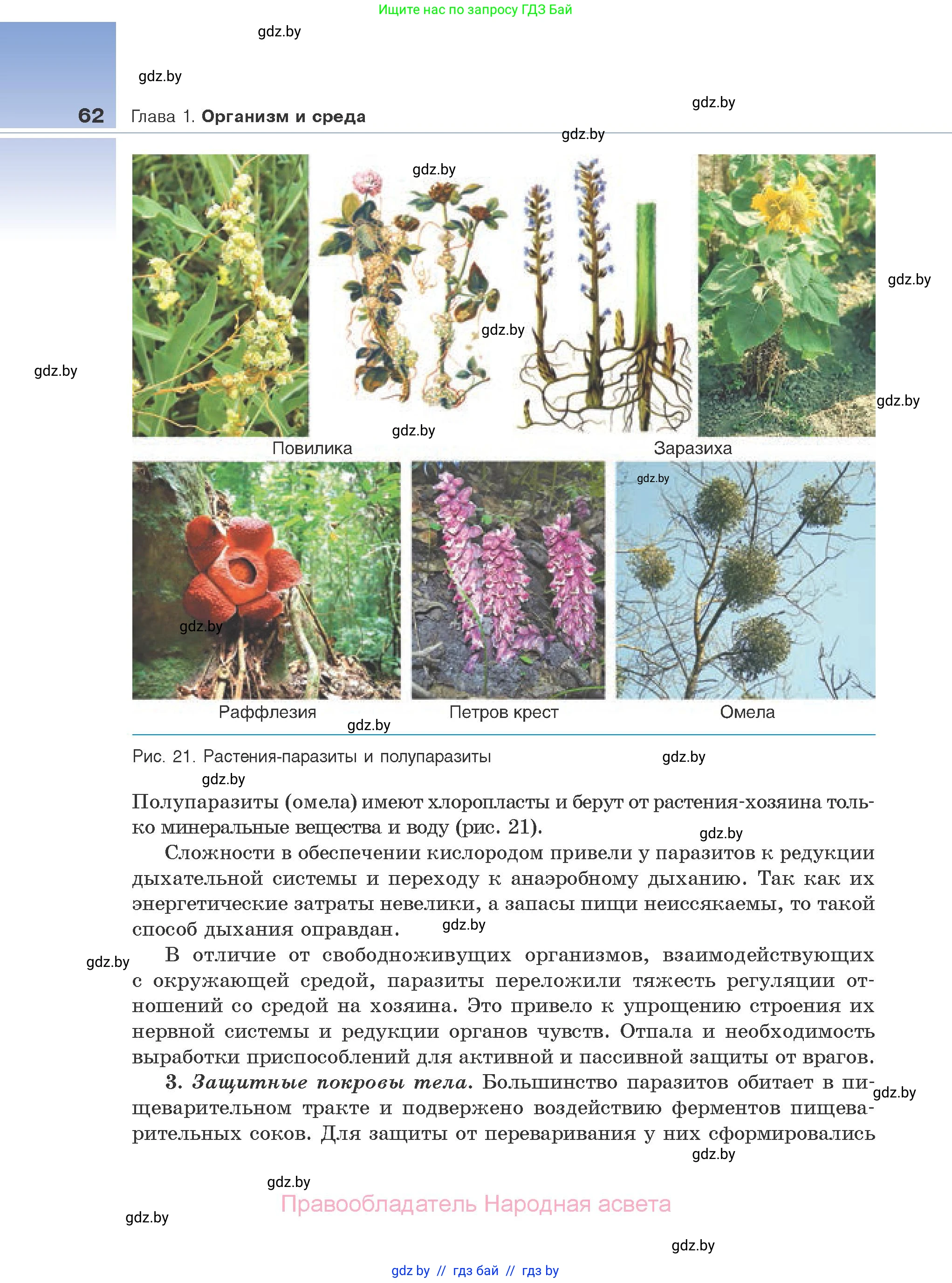 Биология, 10 класс Учебник, авторы: Маглыш Сабина Степановна, Кравченко Вячеслав Анатольевич, Довгун Татьяна Яновна, издательство Народная асвета, Минск, 2020, зелёного цвета, страница 62