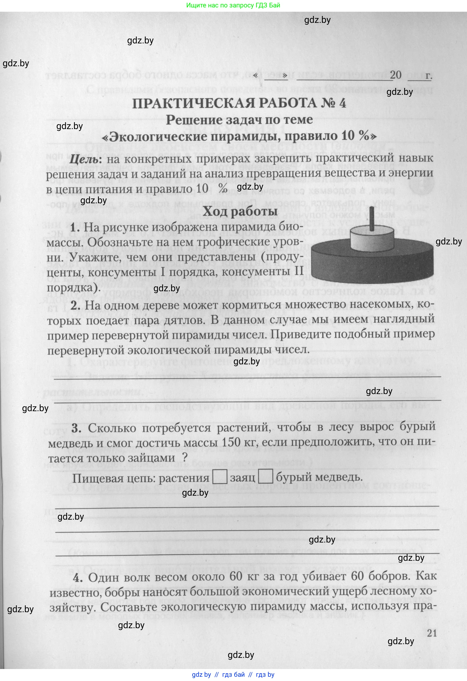 Биология, 10 класс тетрадь для лабораторных, практических работ и экскурсий, автор: Новик Ирина Михайловна, издательство Сэр-Вит, Минск, 2020, салатового цвета, страница 21