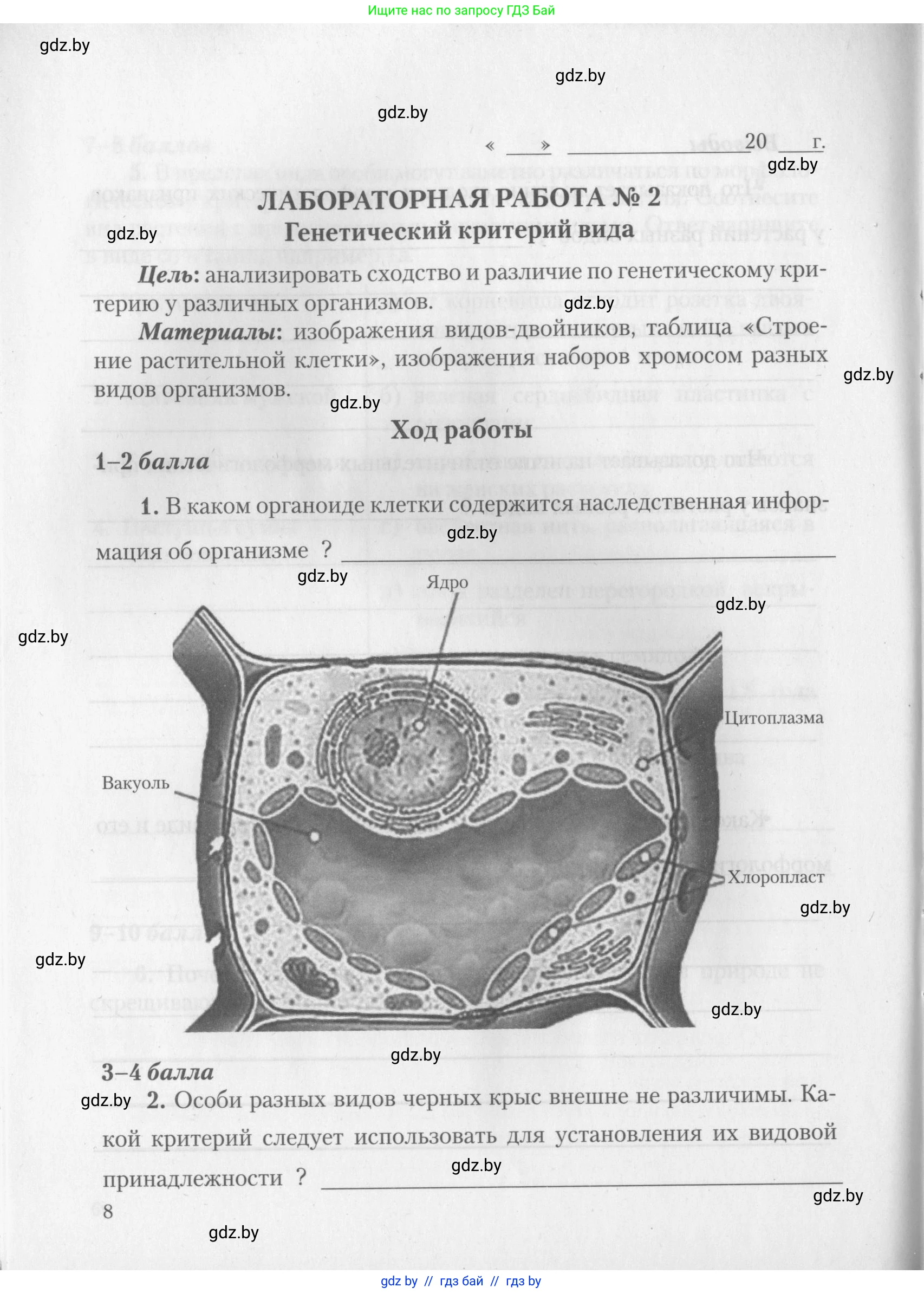 Биология, 10 класс тетрадь для лабораторных, практических работ и экскурсий, автор: Новик Ирина Михайловна, издательство Сэр-Вит, Минск, 2020, салатового цвета, страница 8