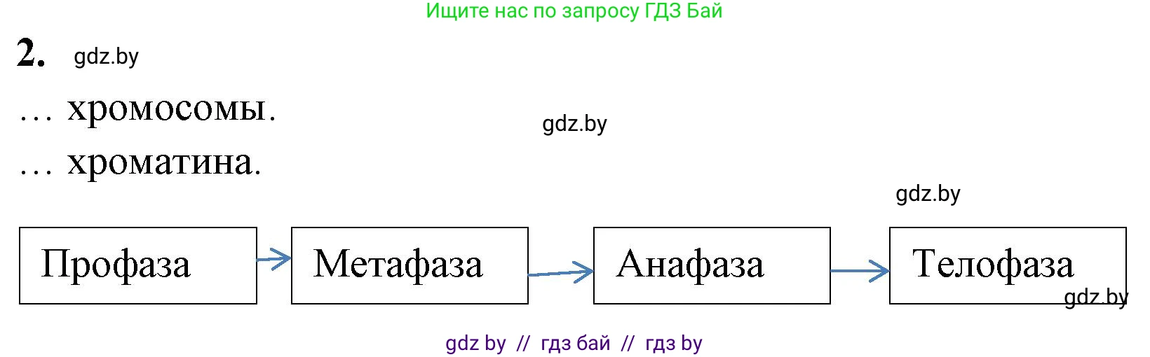 Биология, 11 класс Тетрадь для лабораторных и практических работ, авторы: Дашков Максим Леонидович, Головач Алексей Михайлович, издательство Аверсэв, Минск, 2021, оранжевого цвета, страница 15, номер 2, Решение