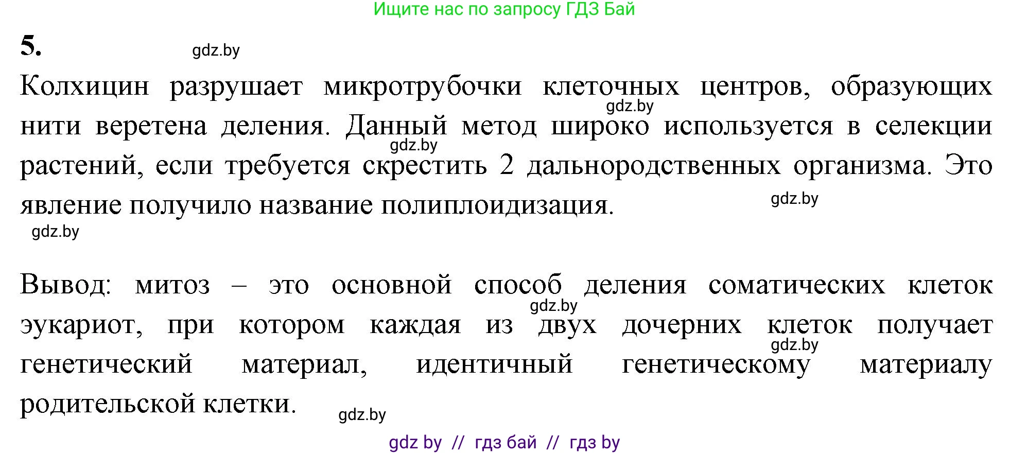 Биология, 11 класс Тетрадь для лабораторных и практических работ, авторы: Дашков Максим Леонидович, Головач Алексей Михайлович, издательство Аверсэв, Минск, 2021, оранжевого цвета, страница 17, номер 5, Решение