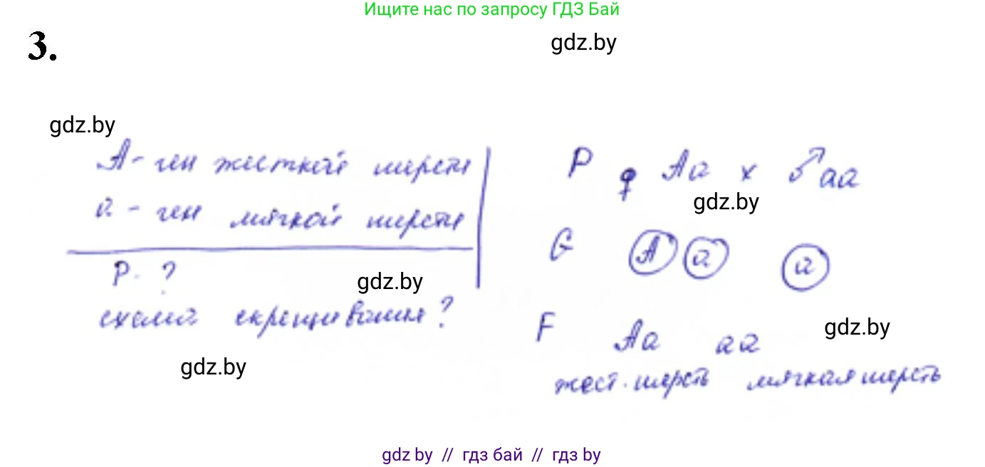 Биология, 11 класс Тетрадь для лабораторных и практических работ, авторы: Дашков Максим Леонидович, Головач Алексей Михайлович, издательство Аверсэв, Минск, 2021, оранжевого цвета, страница 22, номер 3, Решение