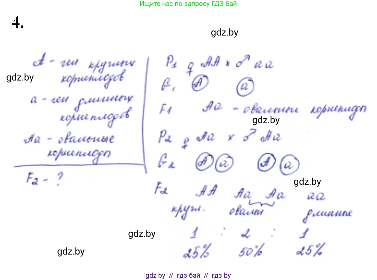 Биология, 11 класс Тетрадь для лабораторных и практических работ, авторы: Дашков Максим Леонидович, Головач Алексей Михайлович, издательство Аверсэв, Минск, 2021, оранжевого цвета, страница 22, номер 4, Решение