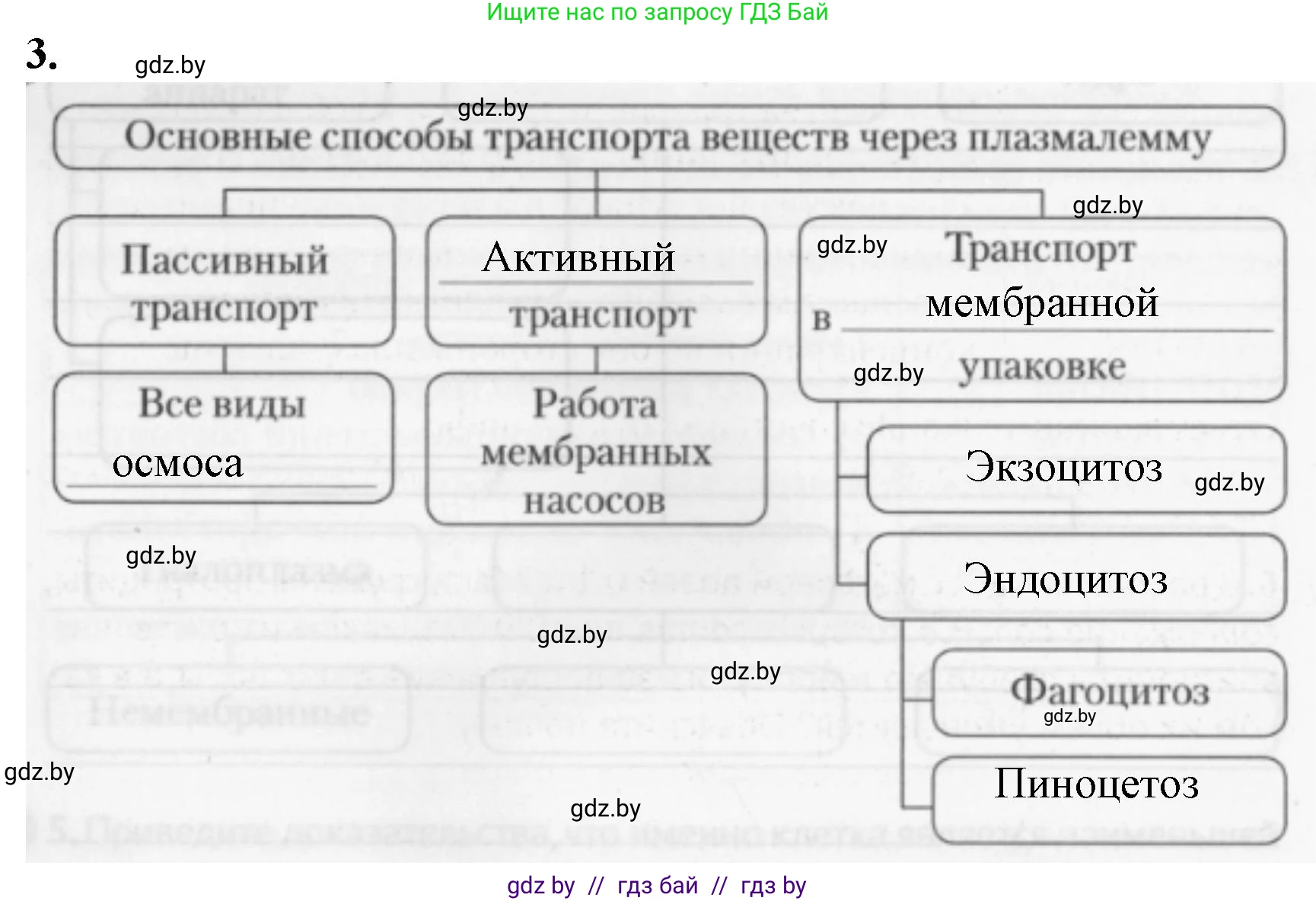 Биология, 11 класс рабочая тетрадь, авторы: Дашков Максим Леонидович, Головач Алексей Михайлович, издательство Аверсэв, Минск, 2021, жёлтого цвета, страница 26, номер 3, Решение