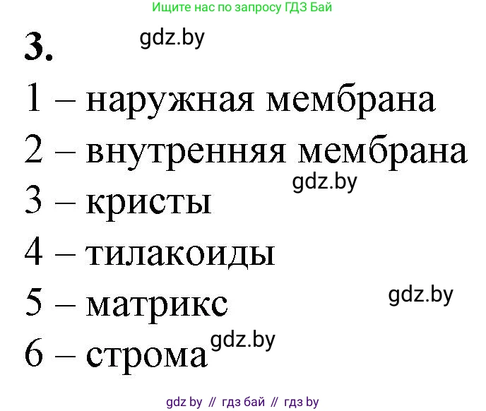 Биология, 11 класс рабочая тетрадь, авторы: Дашков Максим Леонидович, Головач Алексей Михайлович, издательство Аверсэв, Минск, 2021, жёлтого цвета, страница 30, номер 3, Решение