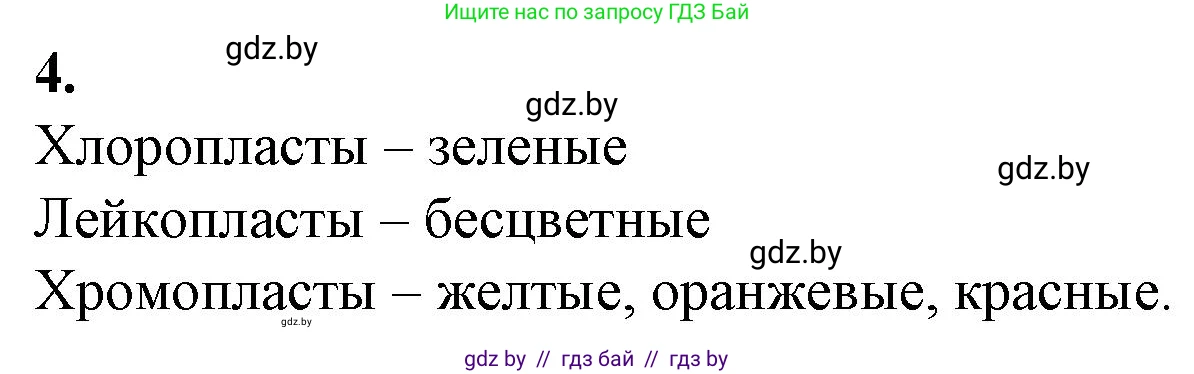 Биология, 11 класс рабочая тетрадь, авторы: Дашков Максим Леонидович, Головач Алексей Михайлович, издательство Аверсэв, Минск, 2021, жёлтого цвета, страница 31, номер 4, Решение
