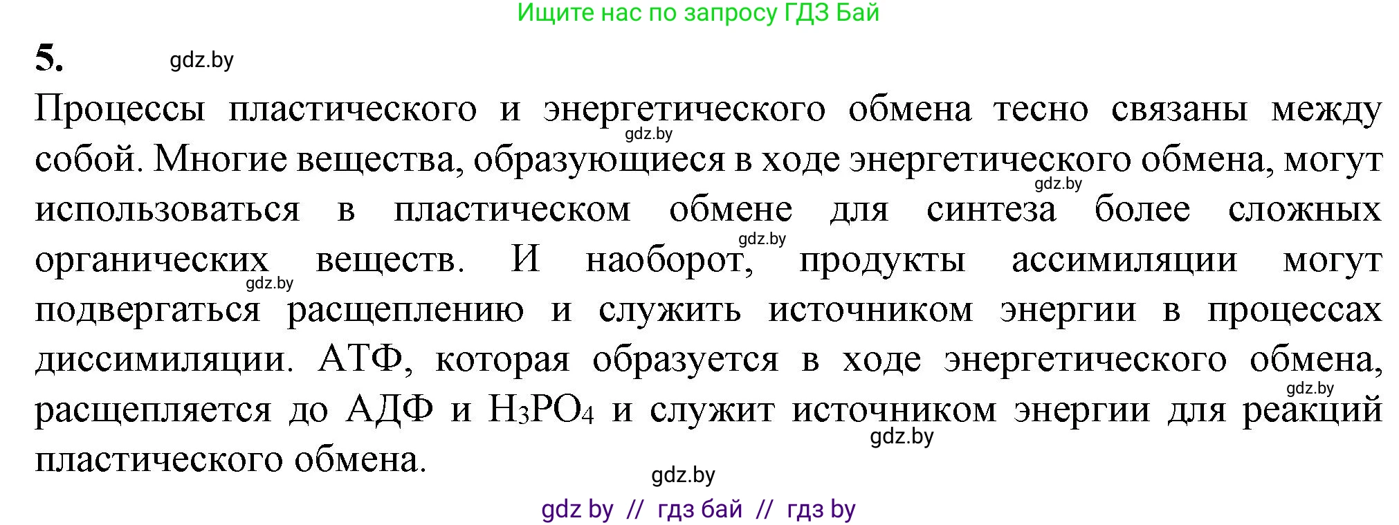 Биология, 11 класс рабочая тетрадь, авторы: Дашков Максим Леонидович, Головач Алексей Михайлович, издательство Аверсэв, Минск, 2021, жёлтого цвета, страница 48, номер 5, Решение