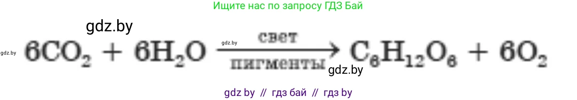 Биология, 11 класс рабочая тетрадь, авторы: Дашков Максим Леонидович, Головач Алексей Михайлович, издательство Аверсэв, Минск, 2021, жёлтого цвета, страница 52, номер 2, Решение
