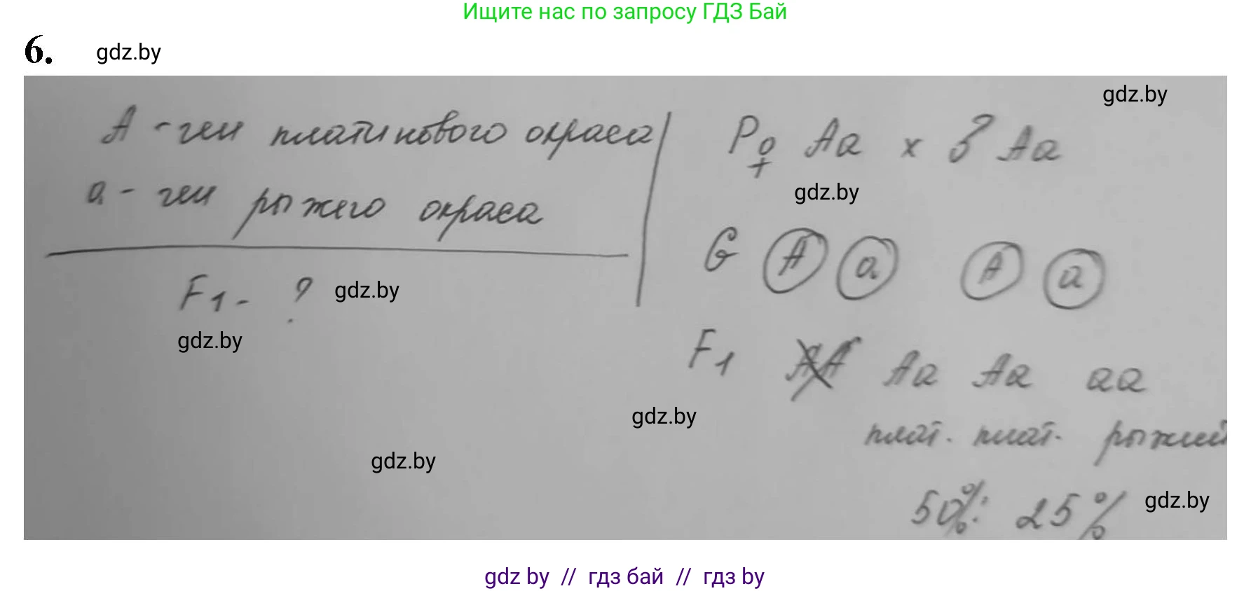 Биология, 11 класс рабочая тетрадь, авторы: Дашков Максим Леонидович, Головач Алексей Михайлович, издательство Аверсэв, Минск, 2021, жёлтого цвета, страница 77, номер 6, Решение