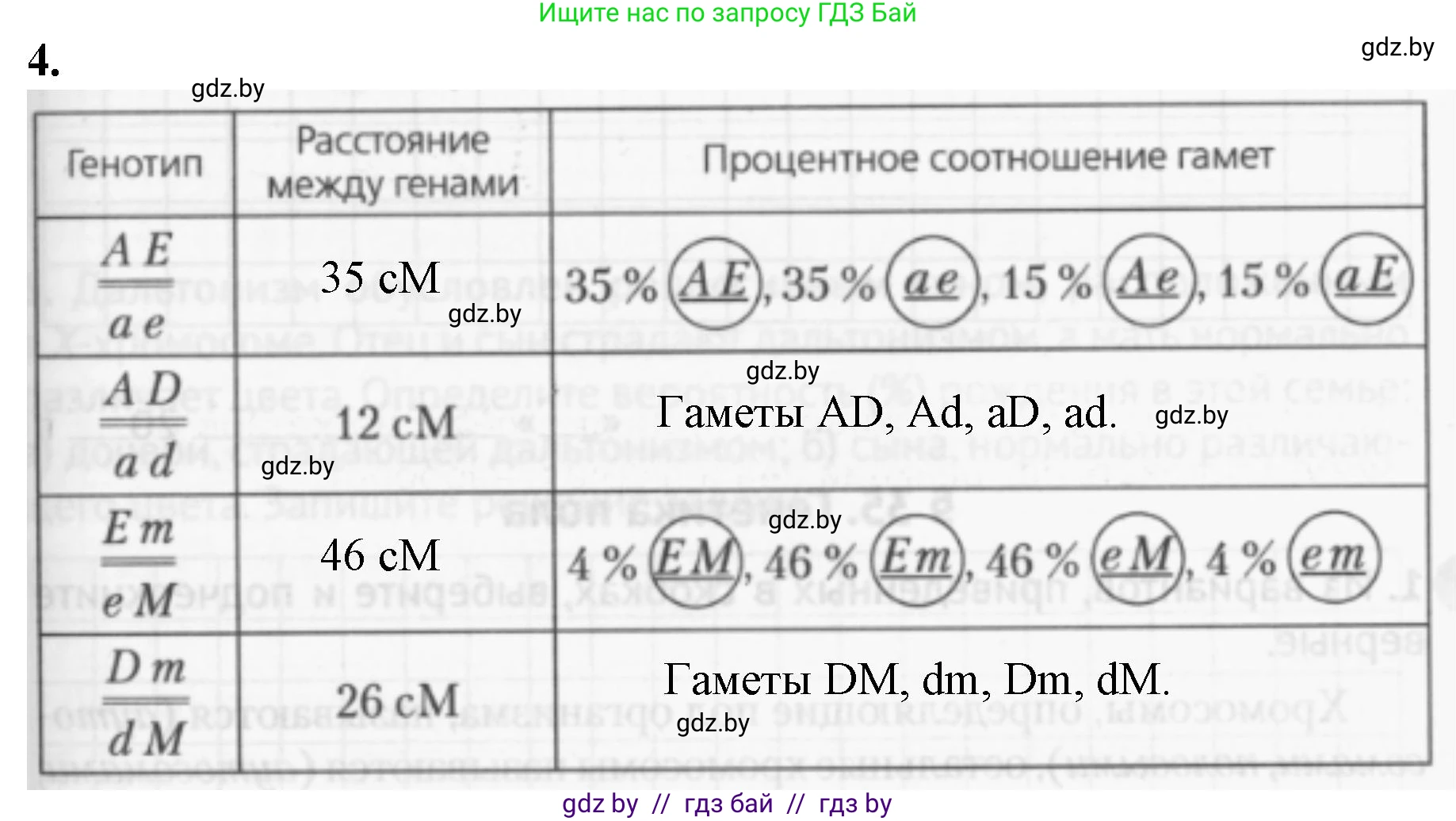 Биология, 11 класс рабочая тетрадь, авторы: Дашков Максим Леонидович, Головач Алексей Михайлович, издательство Аверсэв, Минск, 2021, жёлтого цвета, страница 81, номер 4, Решение