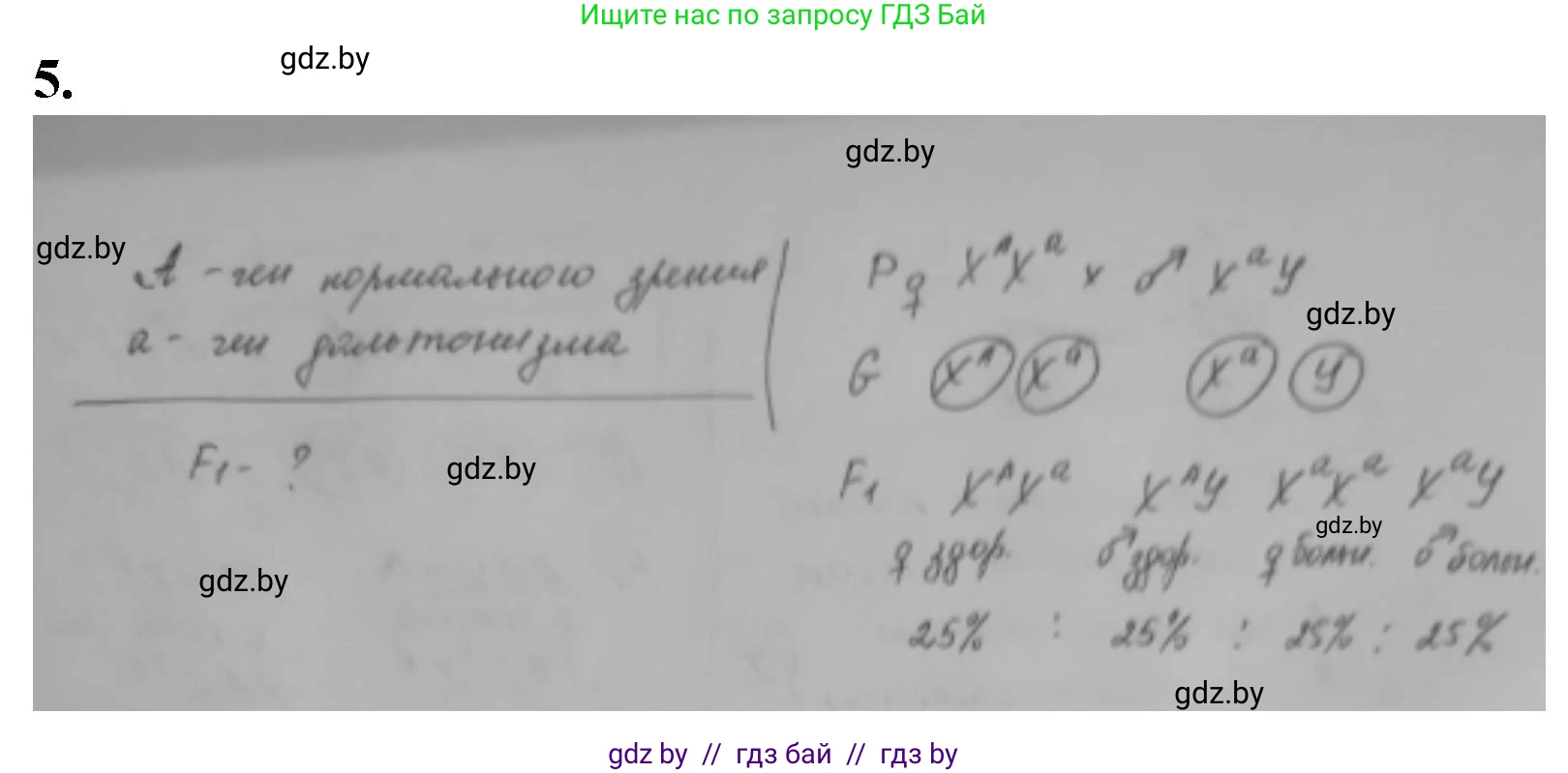 Биология, 11 класс рабочая тетрадь, авторы: Дашков Максим Леонидович, Головач Алексей Михайлович, издательство Аверсэв, Минск, 2021, жёлтого цвета, страница 83, номер 5, Решение