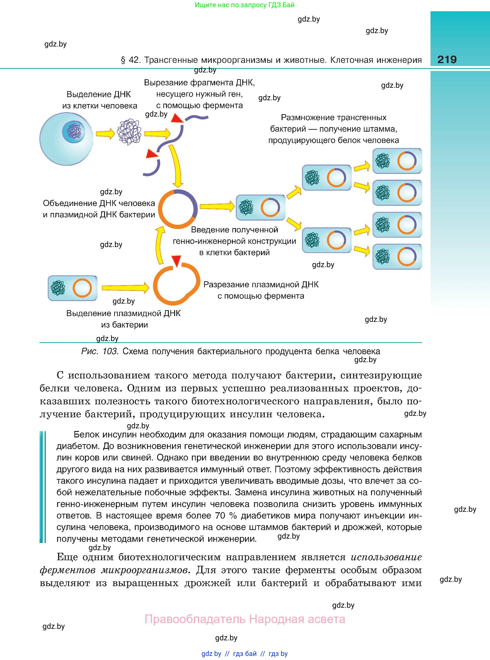 Биология, 11 класс Учебник, авторы: Дашков Максим Леонидович, Песнякевич Александр Георгиевич, Головач Алексей Михайлович, издательство Народная асвета, Минск, 2021, голубого цвета, страница 219