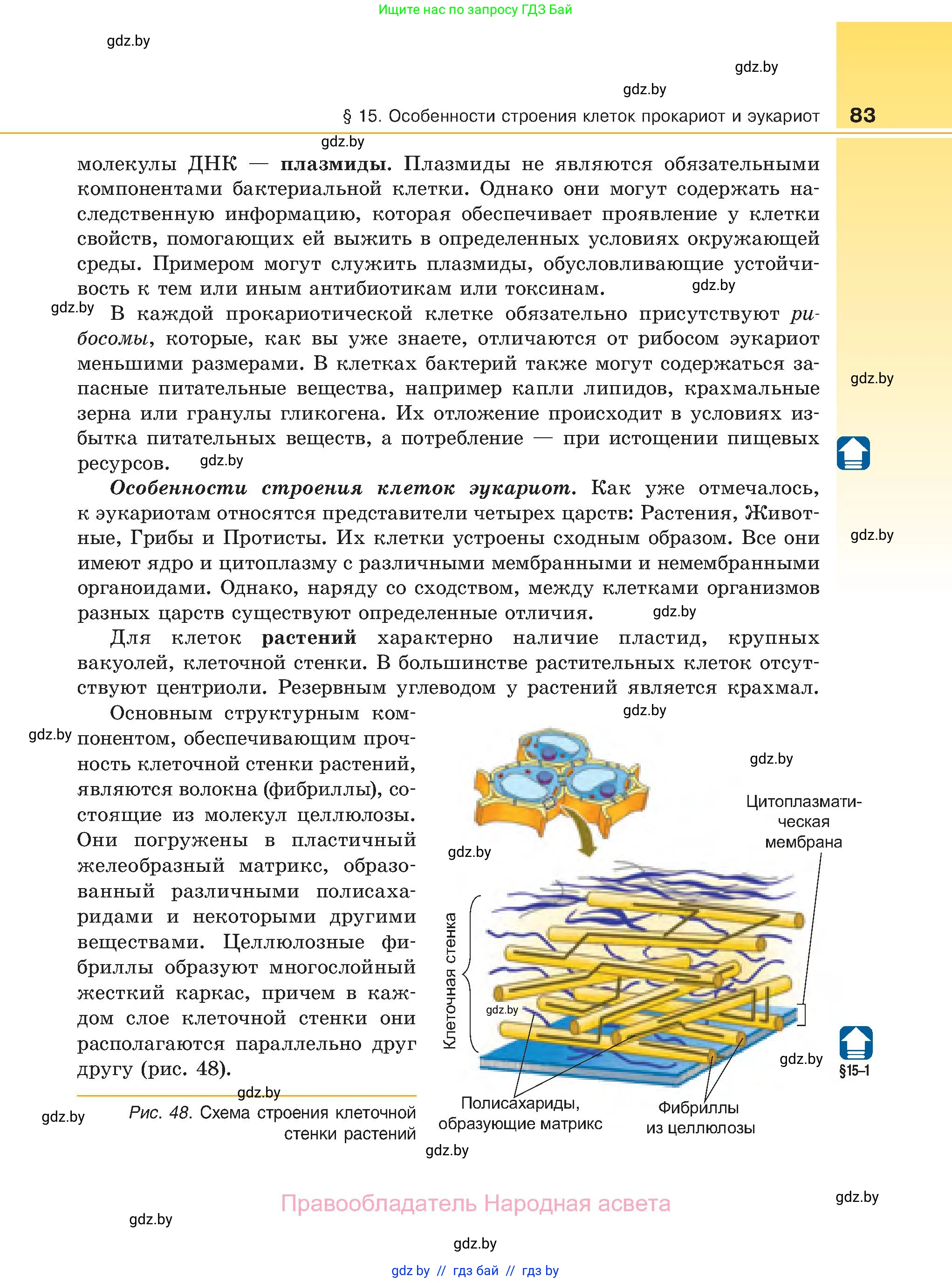 Биология, 11 класс Учебник, авторы: Дашков Максим Леонидович, Песнякевич Александр Георгиевич, Головач Алексей Михайлович, издательство Народная асвета, Минск, 2021, голубого цвета, страница 83