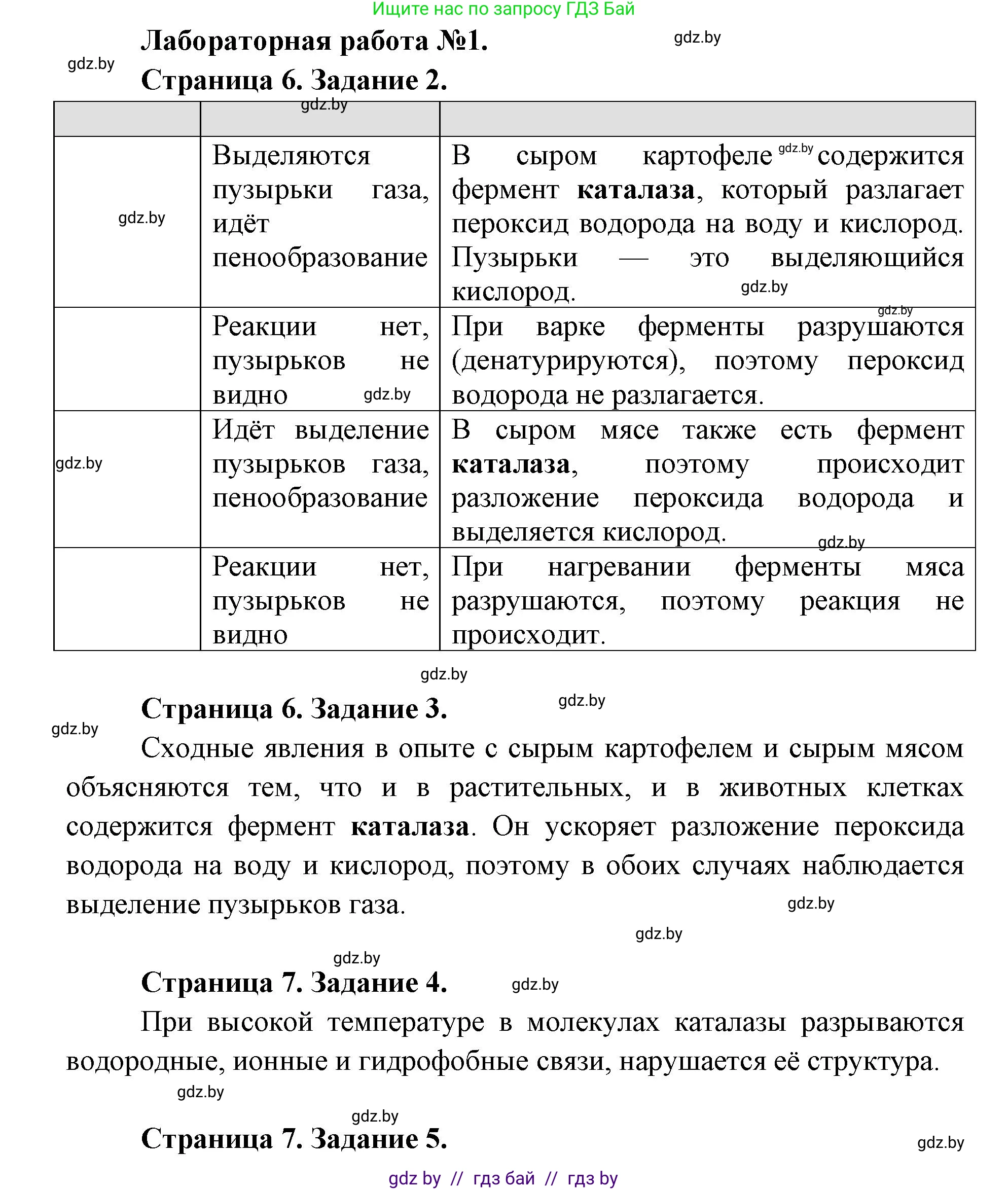 Биология, 11 класс Тетрадь для лабораторных и практических работ, автор: Хруцкая Тамара Викторовна, издательство Аверсэв, Минск, 2025, жёлтого цвета, страница 5, Решение