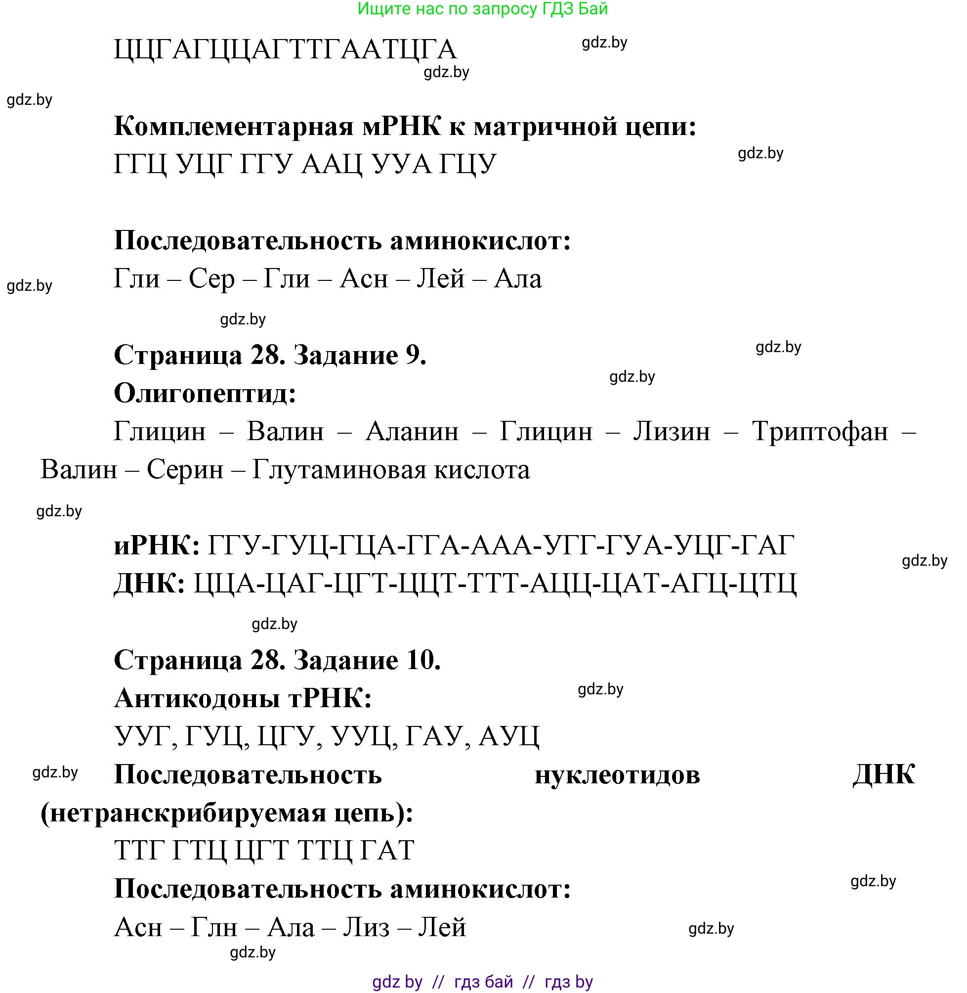 Биология, 11 класс Тетрадь для лабораторных и практических работ, автор: Хруцкая Тамара Викторовна, издательство Аверсэв, Минск, 2025, жёлтого цвета, страница 25, Решение (продолжение 4)