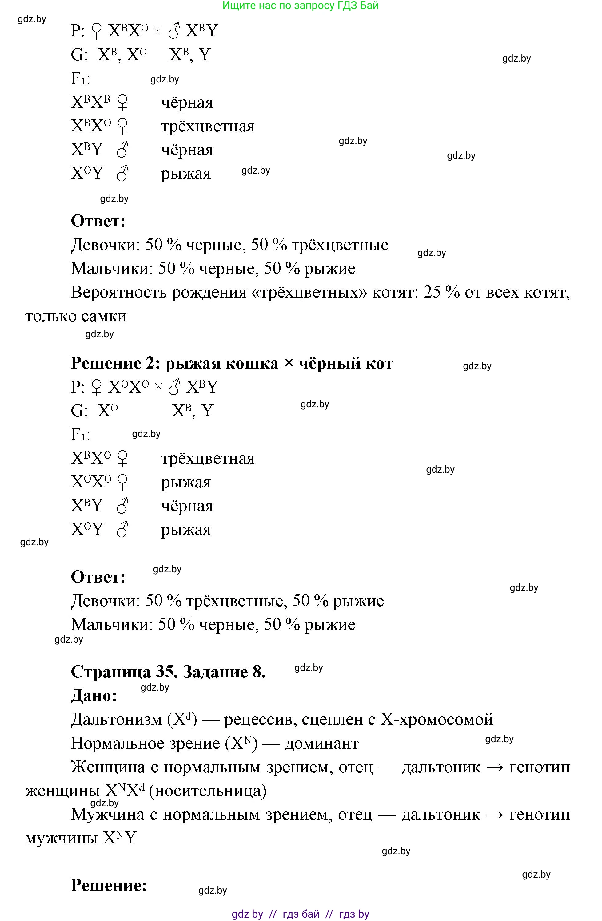 Биология, 11 класс Тетрадь для лабораторных и практических работ, автор: Хруцкая Тамара Викторовна, издательство Аверсэв, Минск, 2025, жёлтого цвета, страница 33, Решение (продолжение 3)