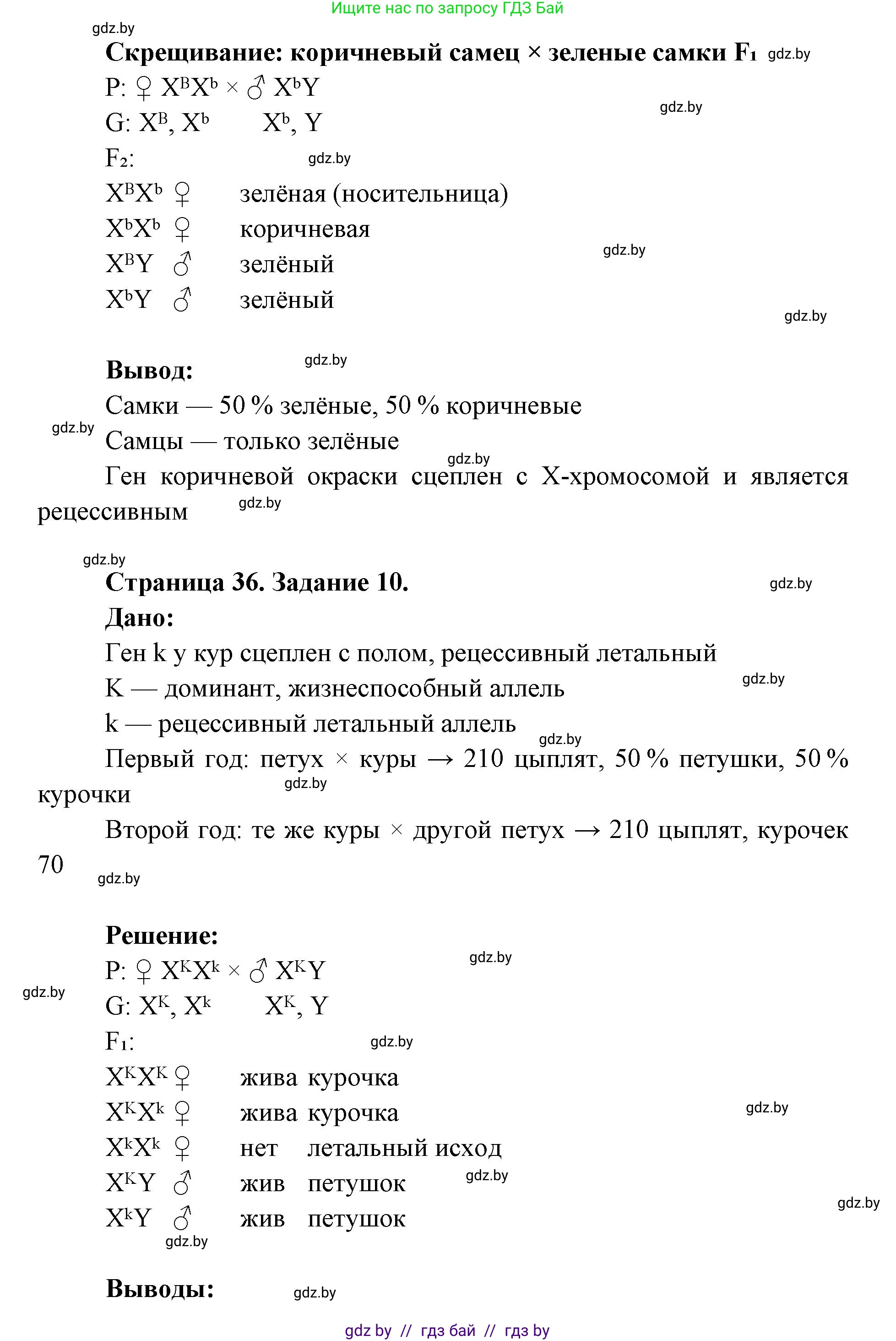 Биология, 11 класс Тетрадь для лабораторных и практических работ, автор: Хруцкая Тамара Викторовна, издательство Аверсэв, Минск, 2025, жёлтого цвета, страница 33, Решение (продолжение 5)