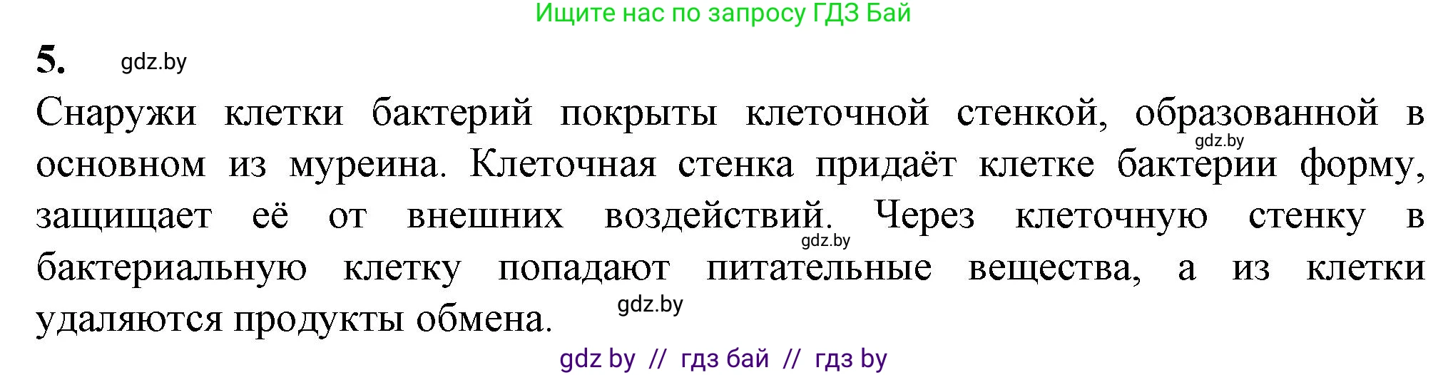 Биология, 11 класс Тетрадь для лабораторных и практических работ, автор: Хруцкая Тамара Викторовна, издательство Аверсэв, Минск, 2021, жёлтого цвета, страница 14, номер 5, Решение