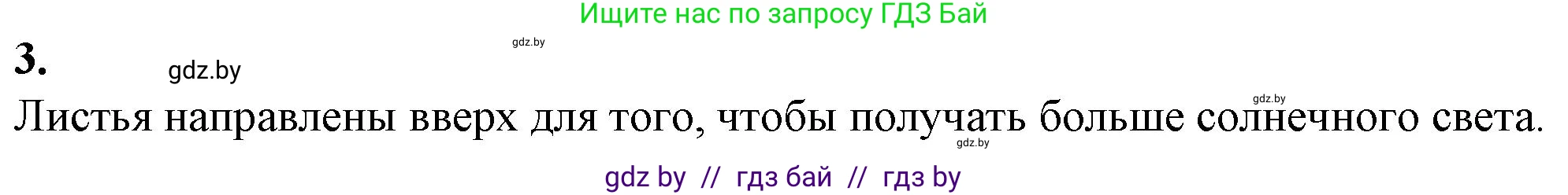Биология, 11 класс Тетрадь для лабораторных и практических работ, автор: Хруцкая Тамара Викторовна, издательство Аверсэв, Минск, 2021, жёлтого цвета, страница 93, номер 3, Решение