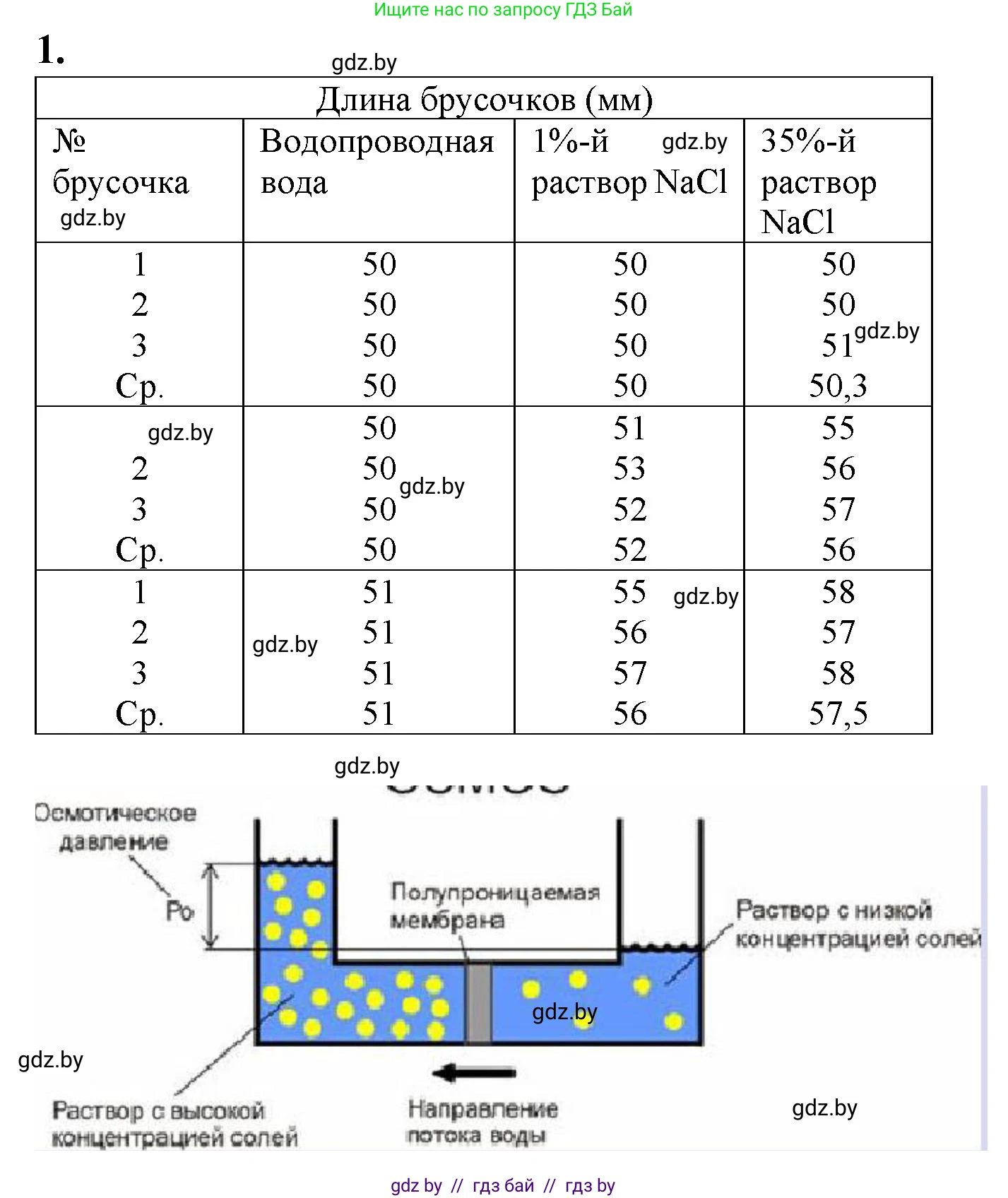 Биология, 11 класс Тетрадь для лабораторных и практических работ, автор: Хруцкая Тамара Викторовна, издательство Аверсэв, Минск, 2021, жёлтого цвета, страница 16, номер 1, Решение