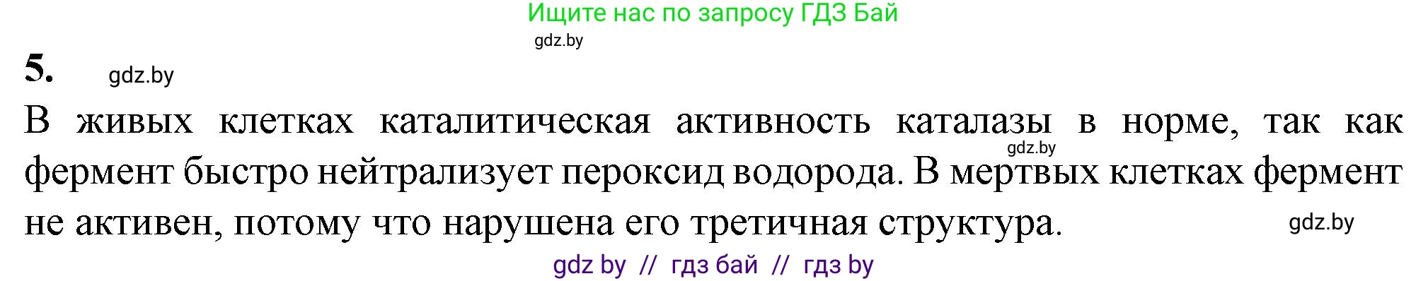 Биология, 11 класс Тетрадь для лабораторных и практических работ, автор: Хруцкая Тамара Викторовна, издательство Аверсэв, Минск, 2021, жёлтого цвета, страница 9, номер 5, Решение