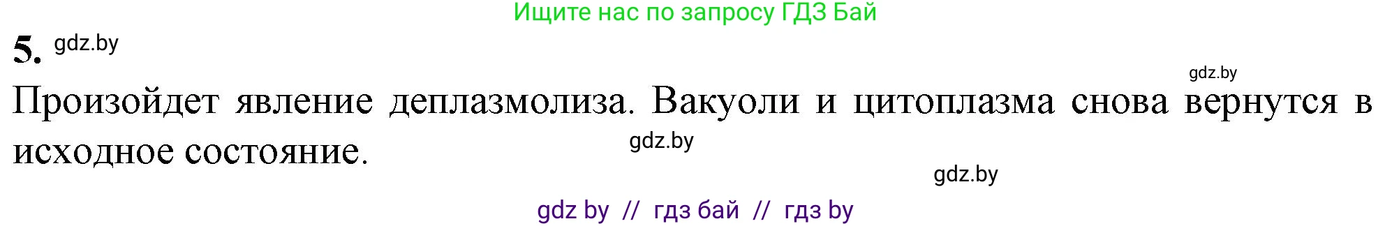 Биология, 11 класс Тетрадь для лабораторных и практических работ, автор: Хруцкая Тамара Викторовна, издательство Аверсэв, Минск, 2021, жёлтого цвета, страница 22, номер 5, Решение