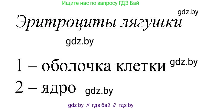 Биология, 11 класс Тетрадь для лабораторных и практических работ, автор: Хруцкая Тамара Викторовна, издательство Аверсэв, Минск, 2021, жёлтого цвета, страница 25, номер 3, Решение (продолжение 2)