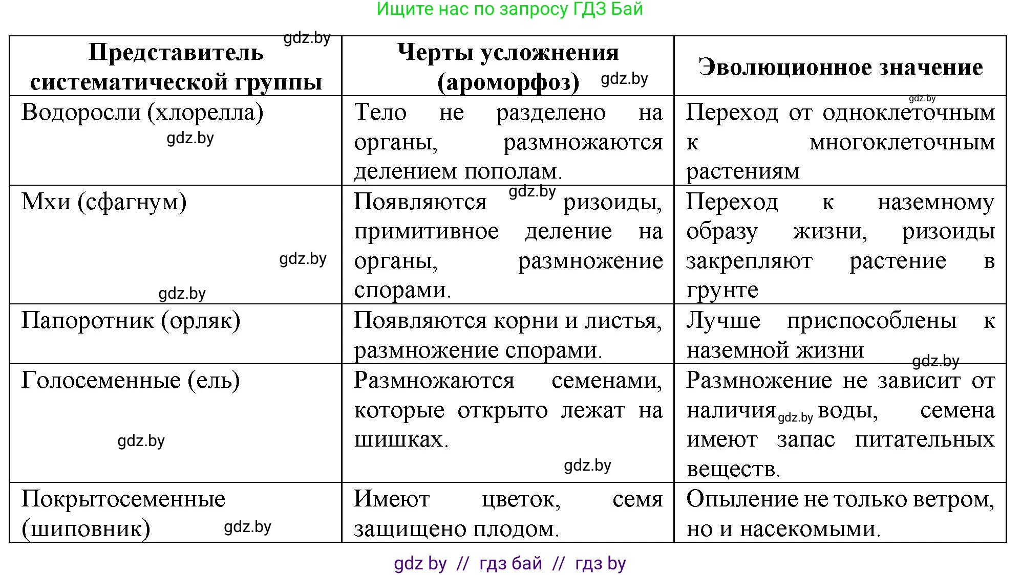Биология, 11 класс Тетрадь для лабораторных и практических работ, автор: Хруцкая Тамара Викторовна, издательство Аверсэв, Минск, 2021, жёлтого цвета, страница 104, номер 3, Решение