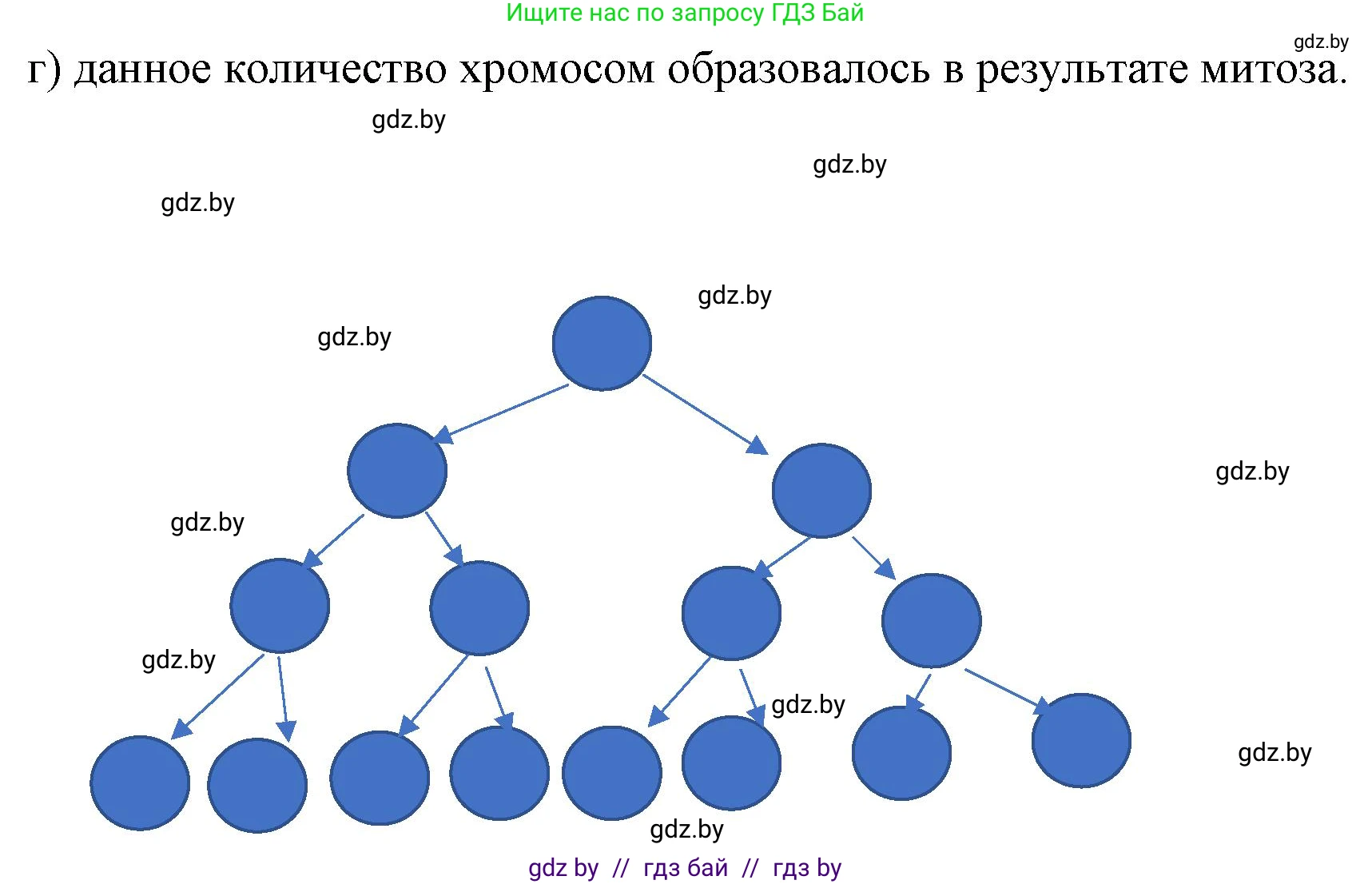 Биология, 11 класс Тетрадь для лабораторных и практических работ, автор: Хруцкая Тамара Викторовна, издательство Аверсэв, Минск, 2021, жёлтого цвета, страница 36, номер 3, Решение (продолжение 2)