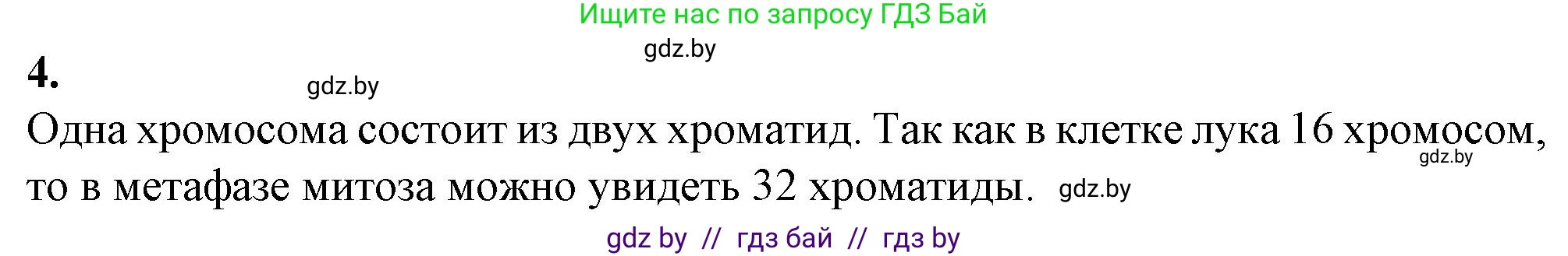 Биология, 11 класс Тетрадь для лабораторных и практических работ, автор: Хруцкая Тамара Викторовна, издательство Аверсэв, Минск, 2021, жёлтого цвета, страница 36, номер 4, Решение