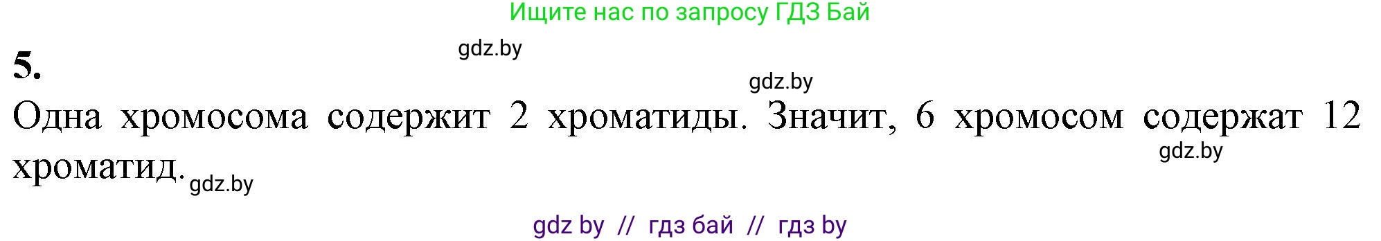 Биология, 11 класс Тетрадь для лабораторных и практических работ, автор: Хруцкая Тамара Викторовна, издательство Аверсэв, Минск, 2021, жёлтого цвета, страница 37, номер 5, Решение
