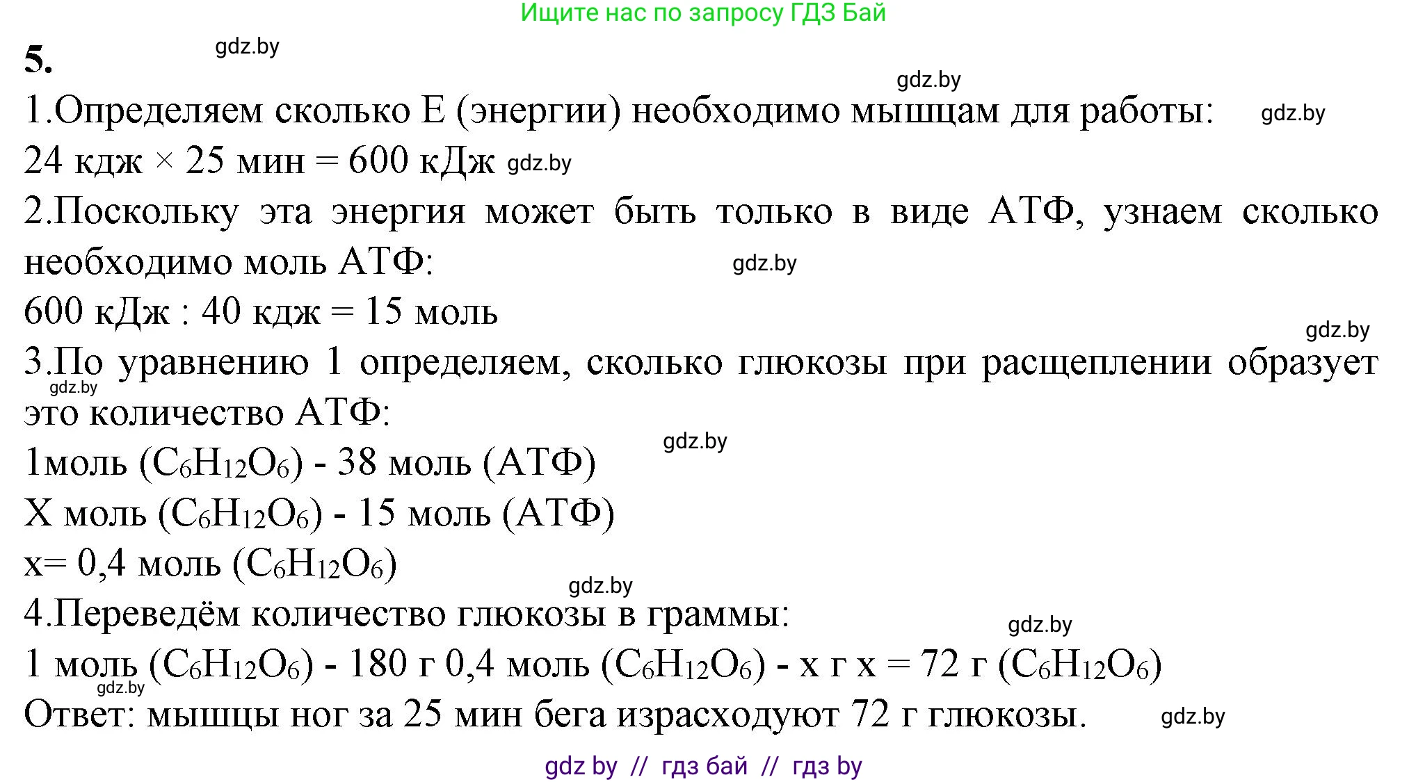 Биология, 11 класс Тетрадь для лабораторных и практических работ, автор: Хруцкая Тамара Викторовна, издательство Аверсэв, Минск, 2021, жёлтого цвета, страница 41, номер 5, Решение
