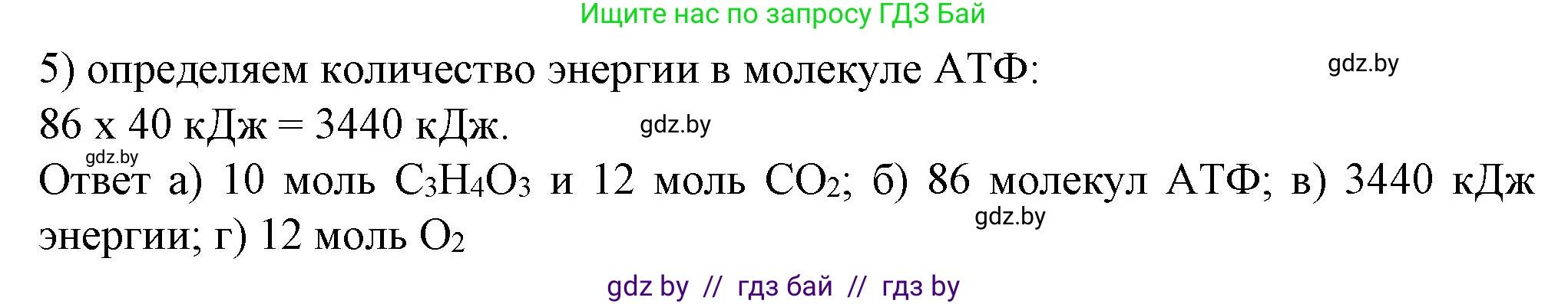 Биология, 11 класс Тетрадь для лабораторных и практических работ, автор: Хруцкая Тамара Викторовна, издательство Аверсэв, Минск, 2021, жёлтого цвета, страница 41, номер 6, Решение (продолжение 2)