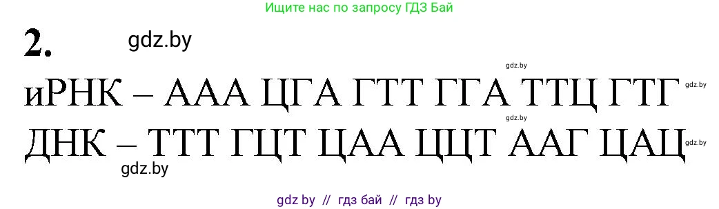 Биология, 11 класс Тетрадь для лабораторных и практических работ, автор: Хруцкая Тамара Викторовна, издательство Аверсэв, Минск, 2021, жёлтого цвета, страница 51, номер 2, Решение