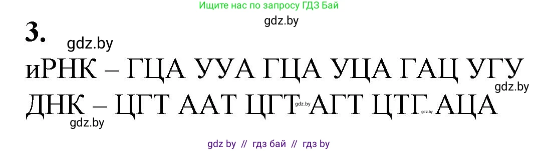 Биология, 11 класс Тетрадь для лабораторных и практических работ, автор: Хруцкая Тамара Викторовна, издательство Аверсэв, Минск, 2021, жёлтого цвета, страница 51, номер 3, Решение