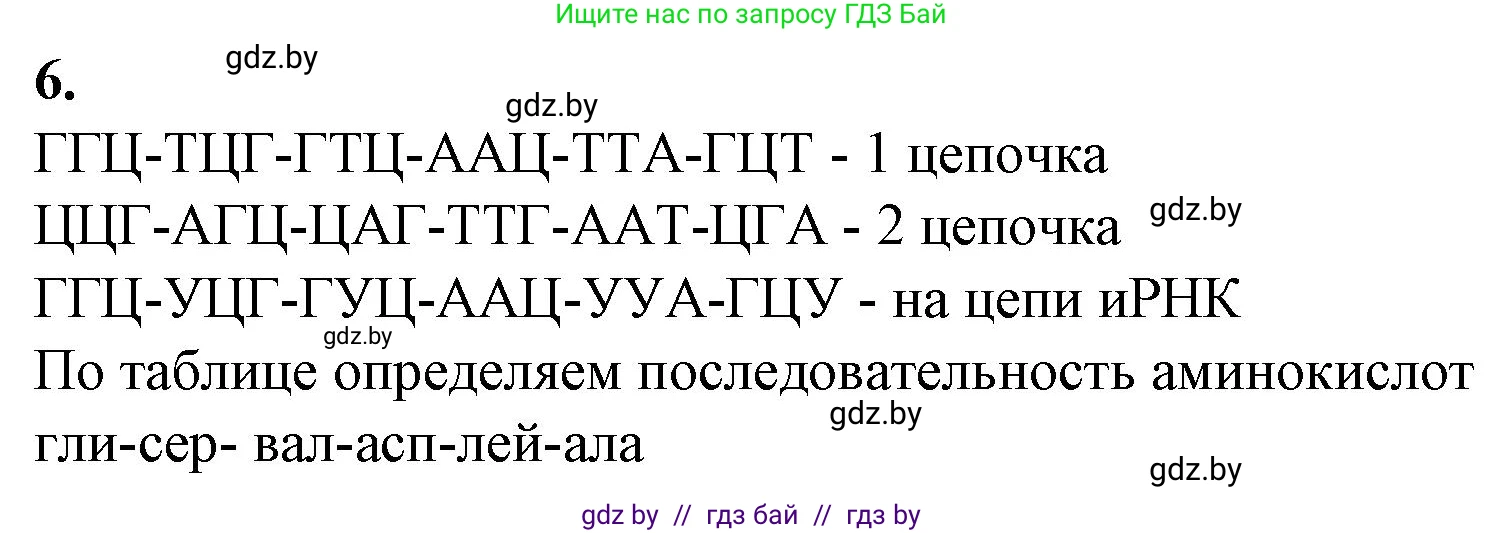 Биология, 11 класс Тетрадь для лабораторных и практических работ, автор: Хруцкая Тамара Викторовна, издательство Аверсэв, Минск, 2021, жёлтого цвета, страница 52, номер 6, Решение