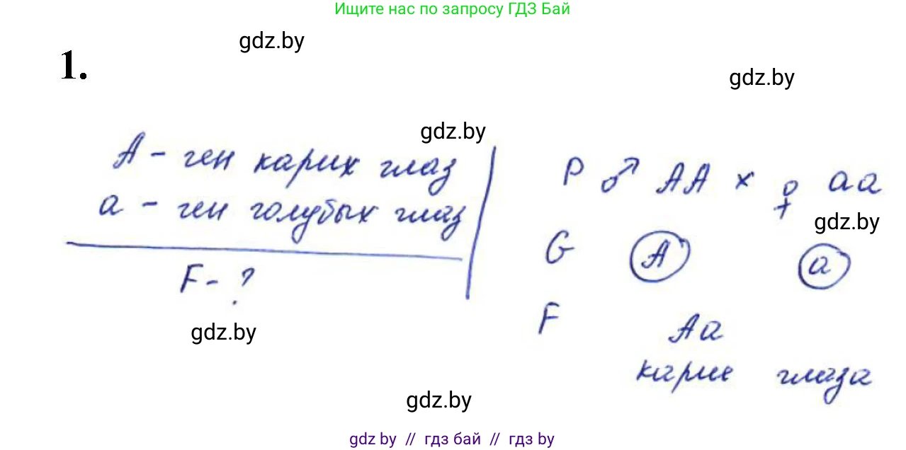 Биология, 11 класс Тетрадь для лабораторных и практических работ, автор: Хруцкая Тамара Викторовна, издательство Аверсэв, Минск, 2021, жёлтого цвета, страница 55, номер 1, Решение