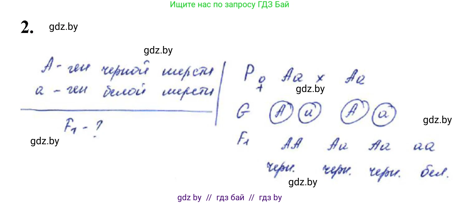 Биология, 11 класс Тетрадь для лабораторных и практических работ, автор: Хруцкая Тамара Викторовна, издательство Аверсэв, Минск, 2021, жёлтого цвета, страница 55, номер 2, Решение