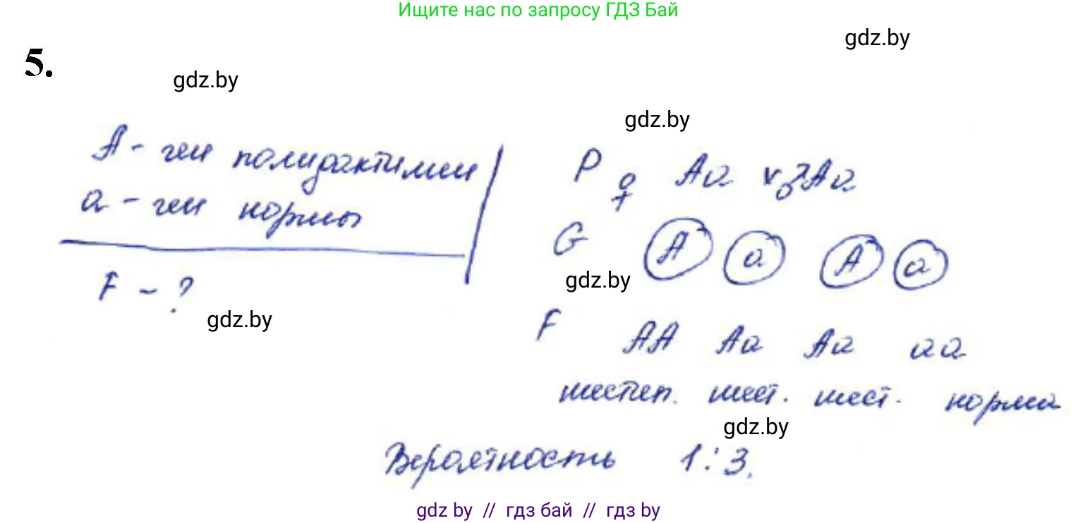 Биология, 11 класс Тетрадь для лабораторных и практических работ, автор: Хруцкая Тамара Викторовна, издательство Аверсэв, Минск, 2021, жёлтого цвета, страница 56, номер 5, Решение