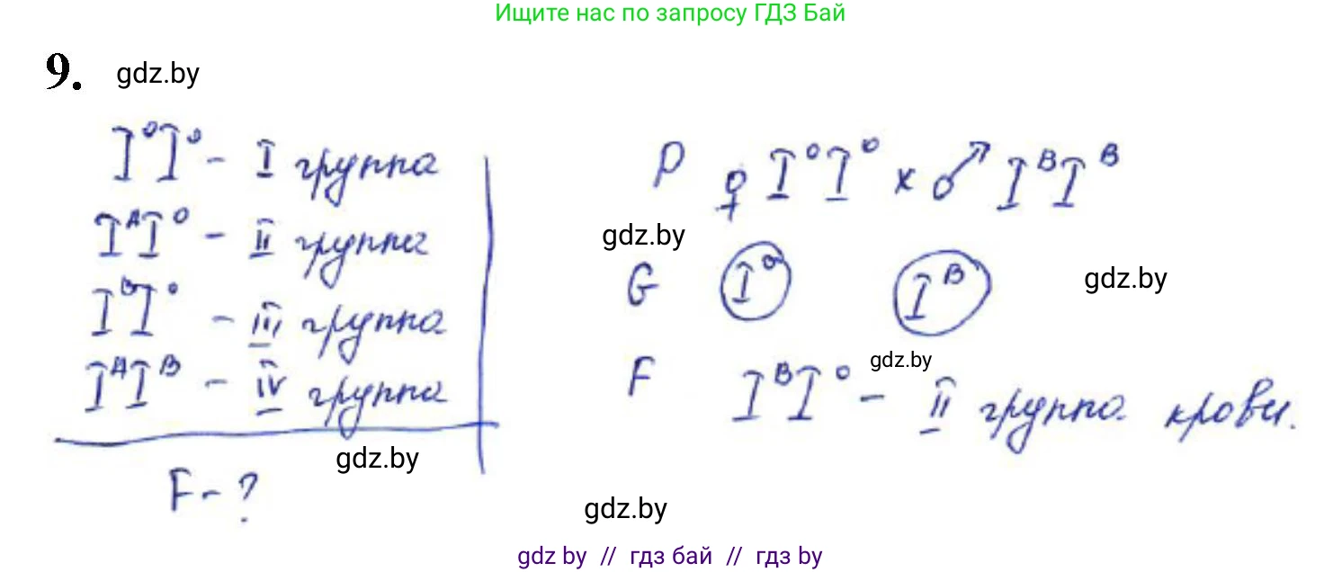 Биология, 11 класс Тетрадь для лабораторных и практических работ, автор: Хруцкая Тамара Викторовна, издательство Аверсэв, Минск, 2021, жёлтого цвета, страница 58, номер 9, Решение