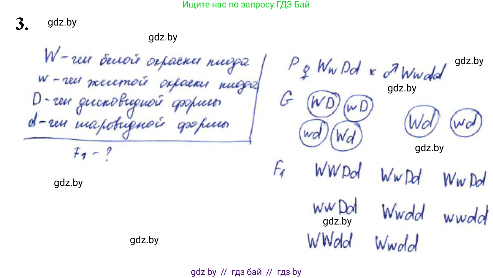 Биология, 11 класс Тетрадь для лабораторных и практических работ, автор: Хруцкая Тамара Викторовна, издательство Аверсэв, Минск, 2021, жёлтого цвета, страница 61, номер 3, Решение