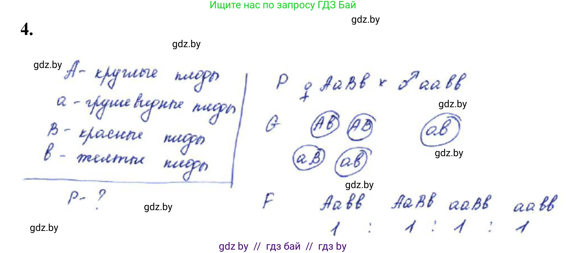 Биология, 11 класс Тетрадь для лабораторных и практических работ, автор: Хруцкая Тамара Викторовна, издательство Аверсэв, Минск, 2021, жёлтого цвета, страница 61, номер 4, Решение